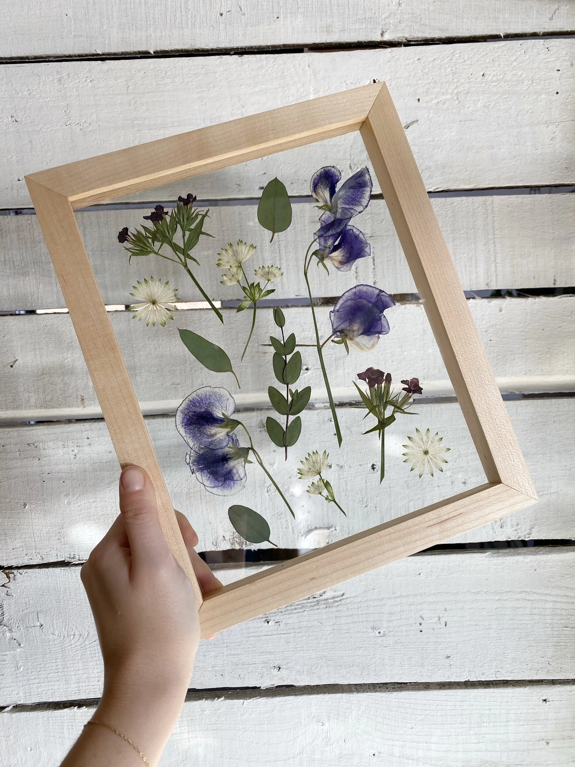 EE6EE208-87B6-40E4-9A5E-18954FEE509E