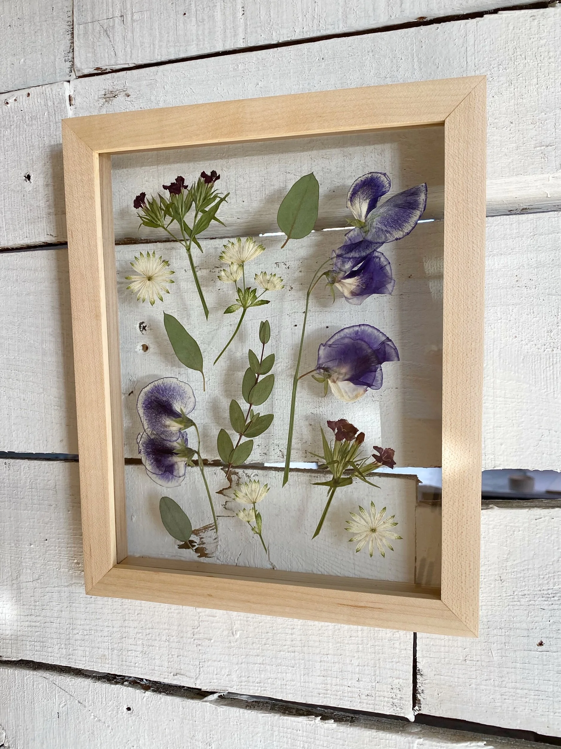 2E47B5F5-119F-421E-9AE4-D22AA7D73FA1