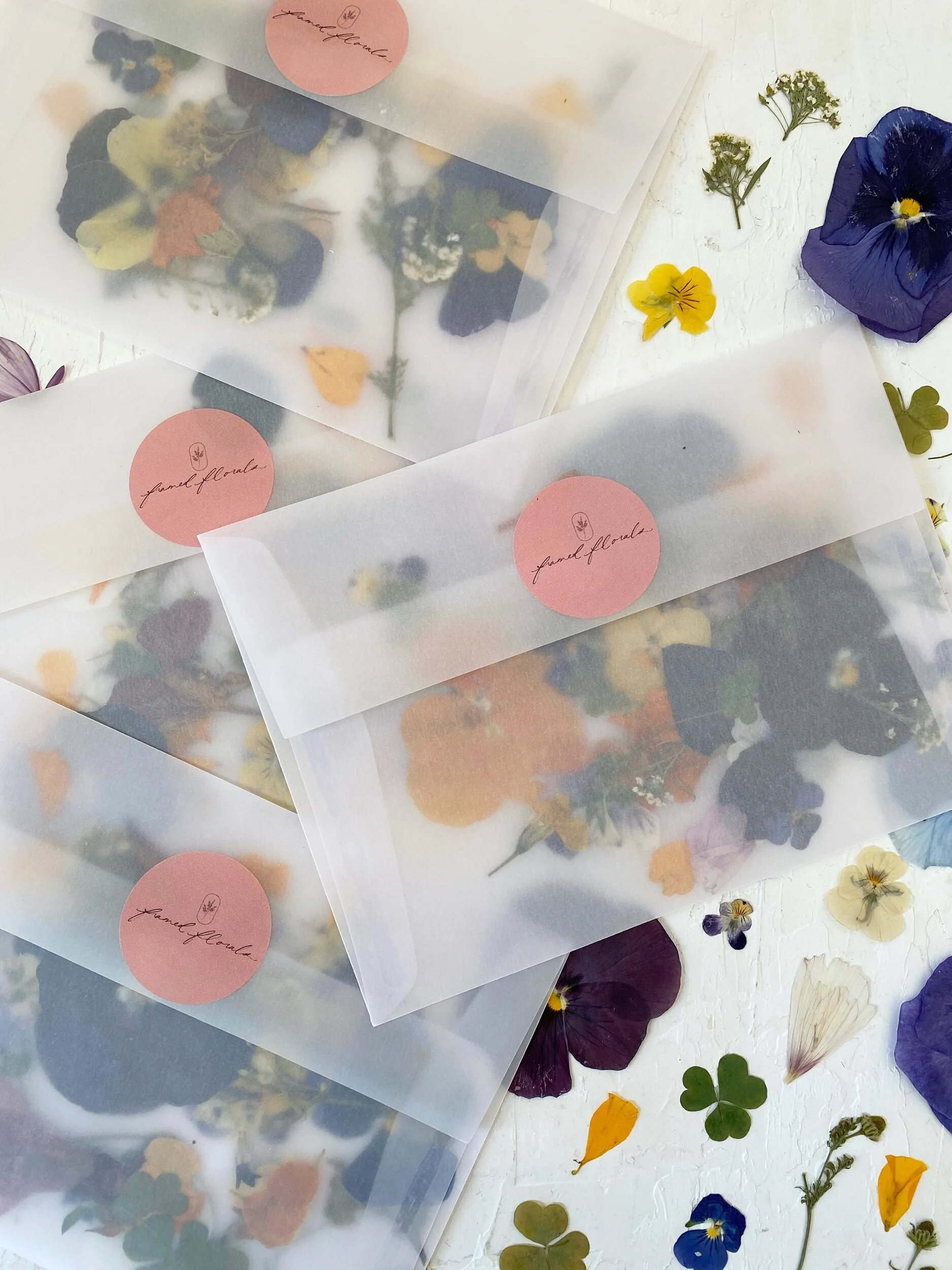 E9893323-F179-45FA-95B4-CE49E52217AD