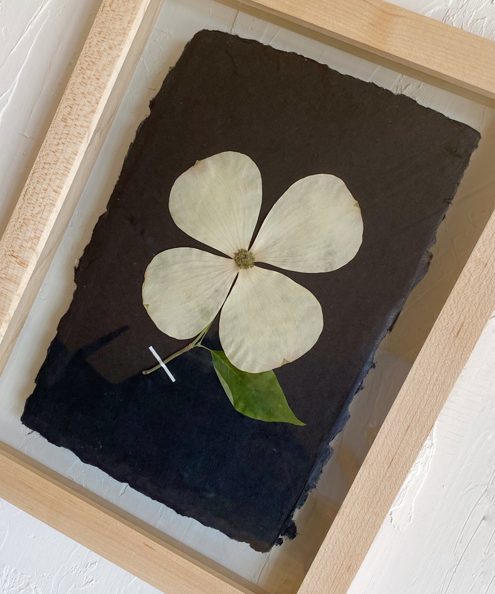 5243F107-16D5-41DC-97A7-5F1828F34347