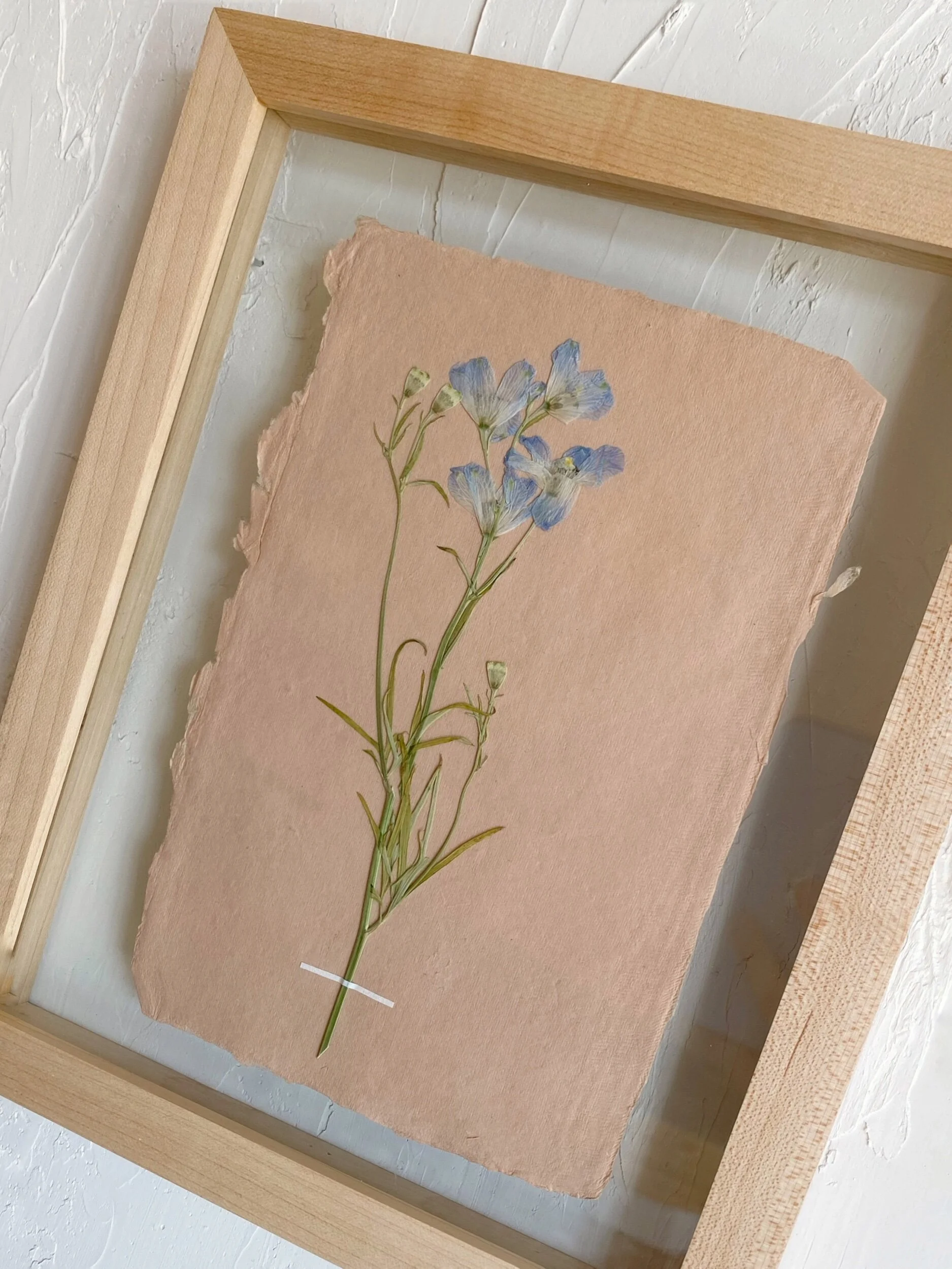 9CEAE7AA-A50A-4F73-8252-DED4745B6172