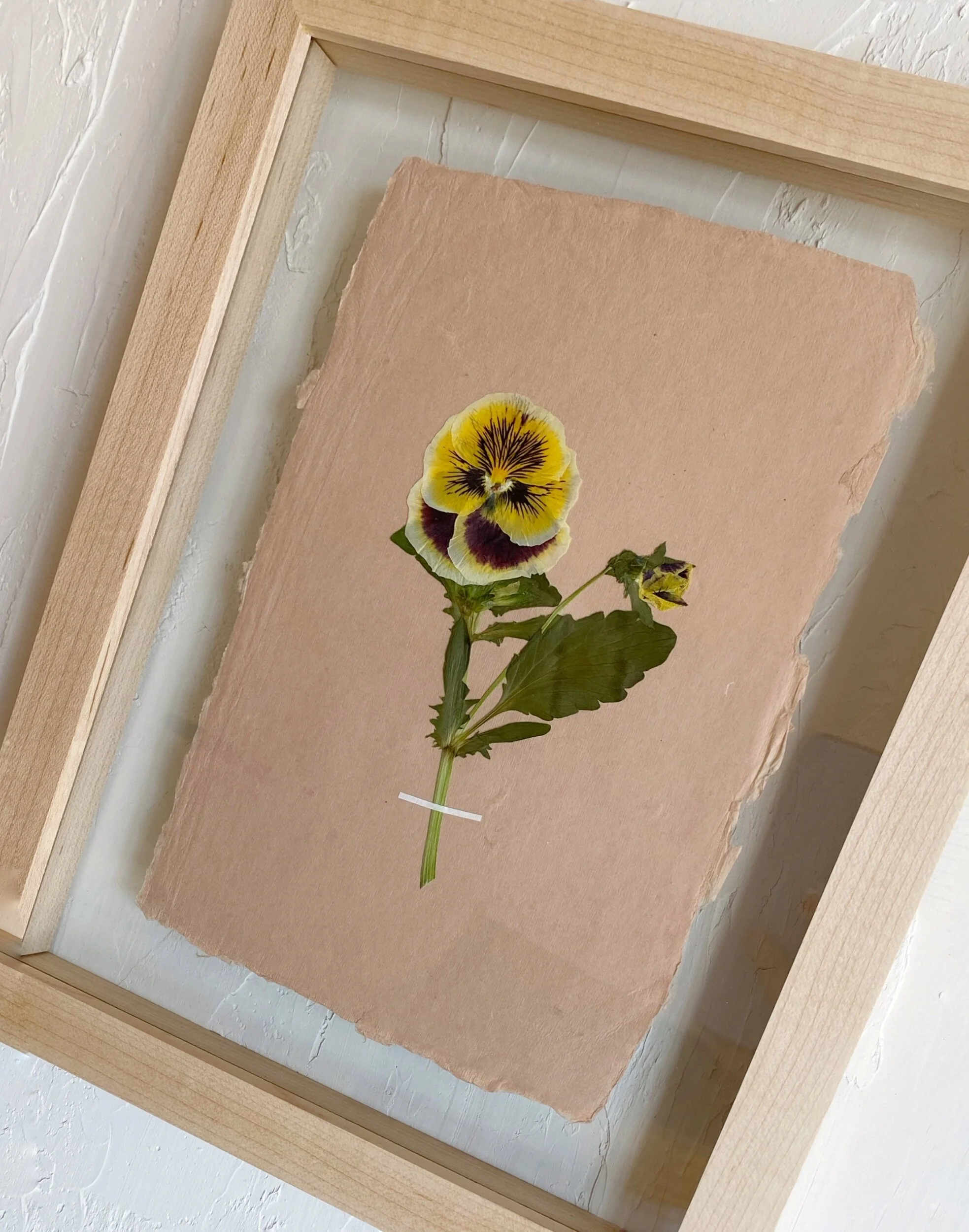 45F73158-5850-4985-AB2E-F303D5BE2BCF