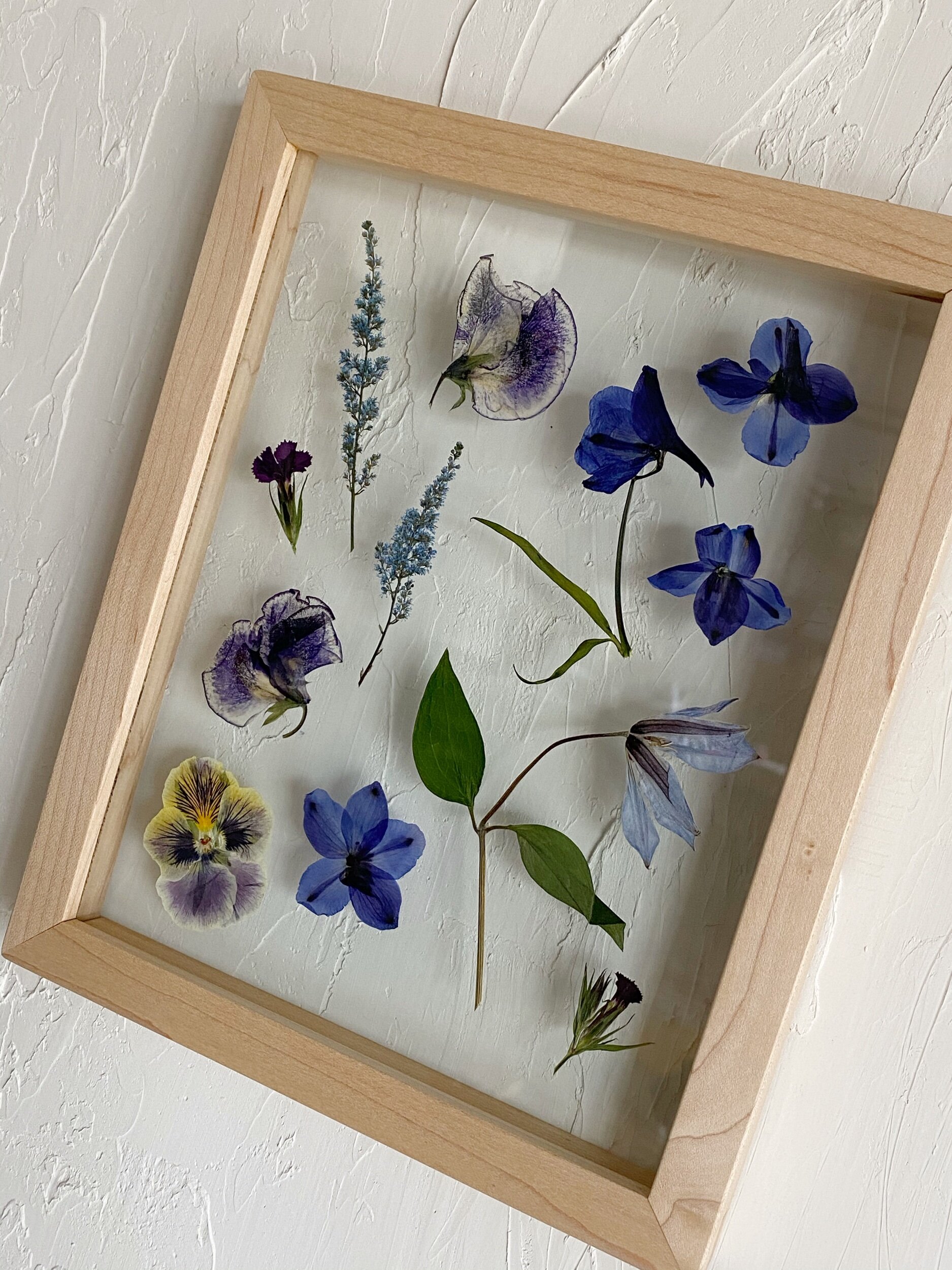 2D53E27E-3420-41CA-8D42-0E0CACA2BB4A