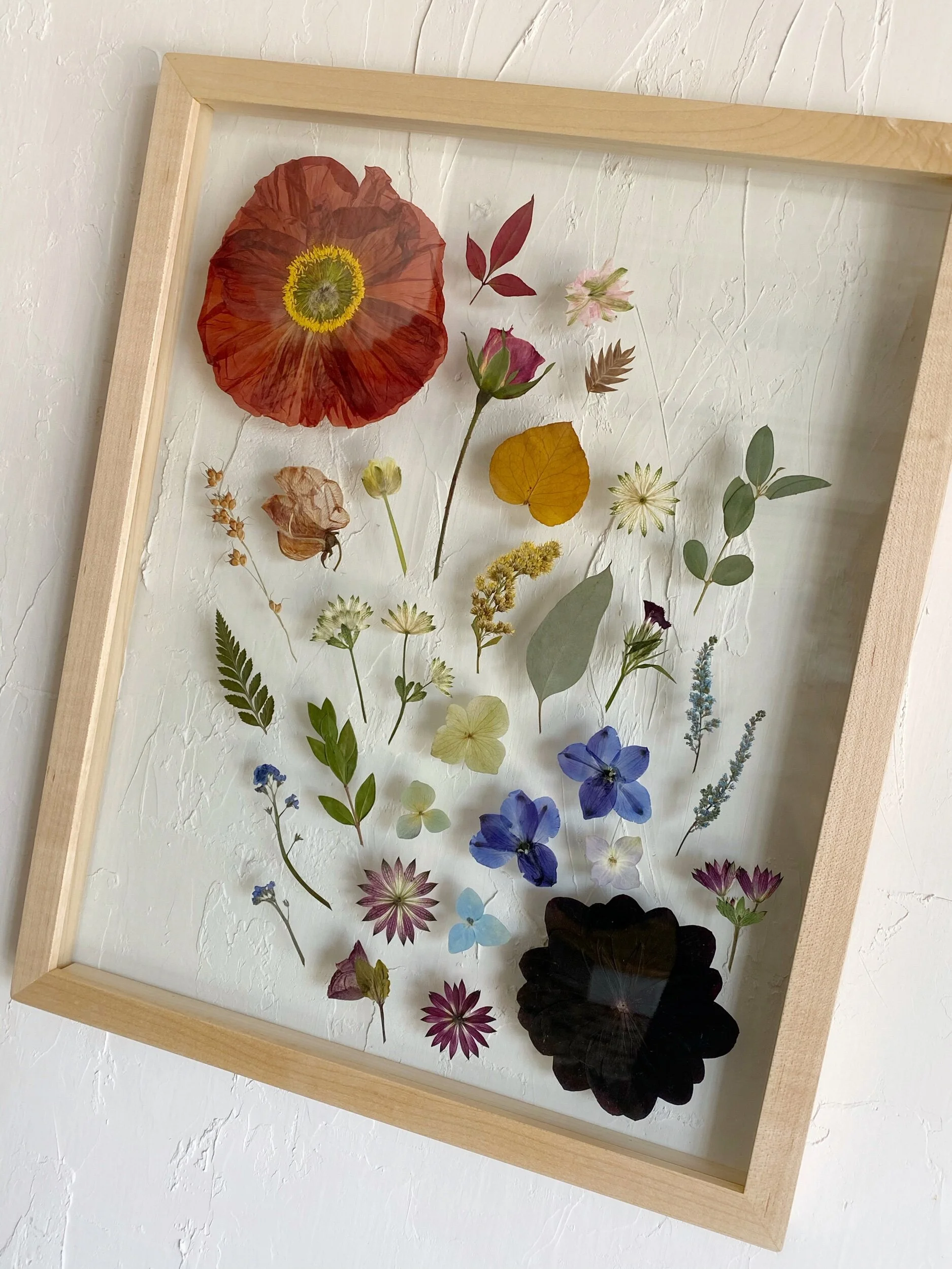 E003E949-1789-4EBA-A64C-F04B27BEDDD0