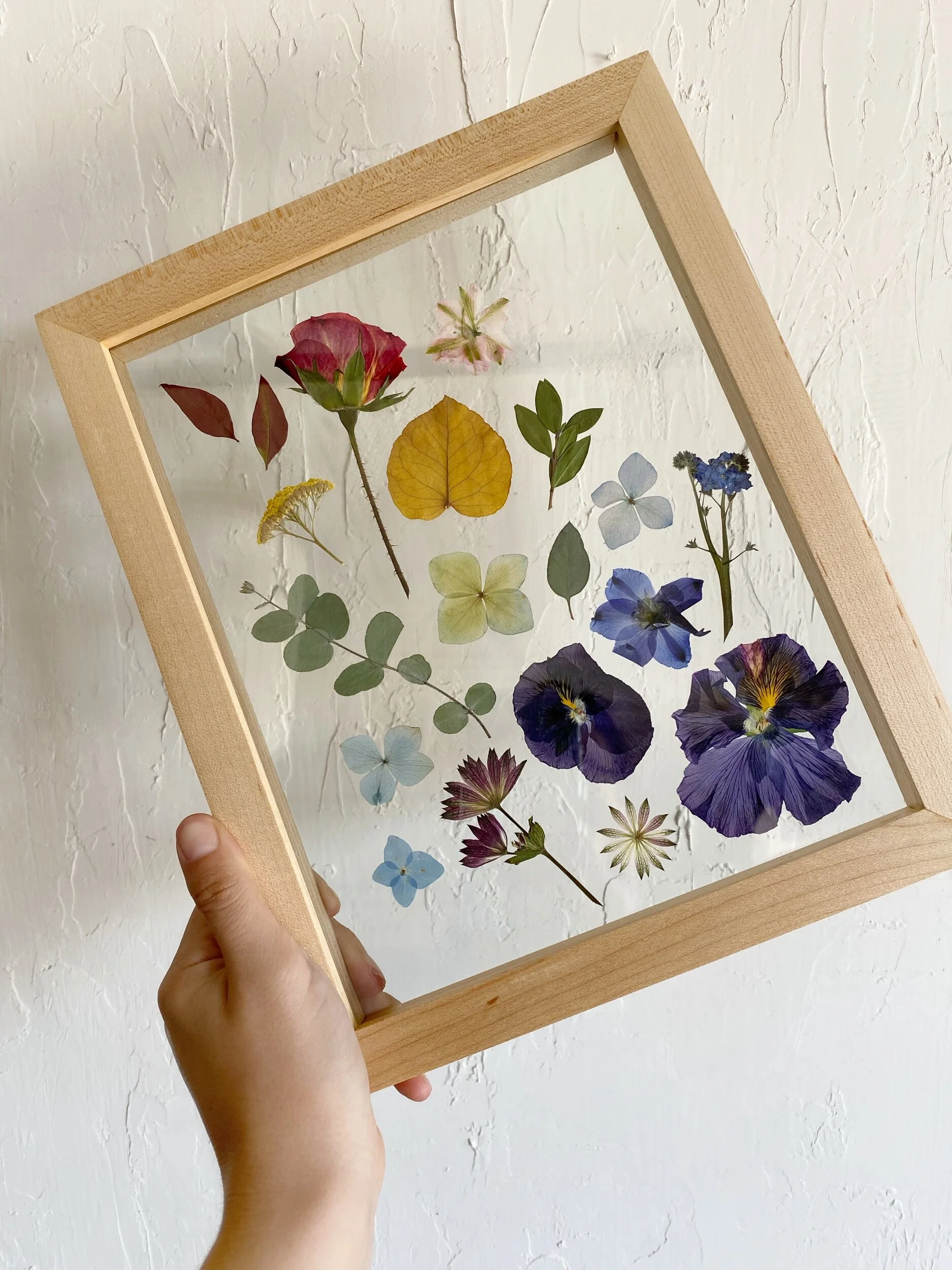 6405C938-B930-4F0A-B458-4FEB01C2D71E