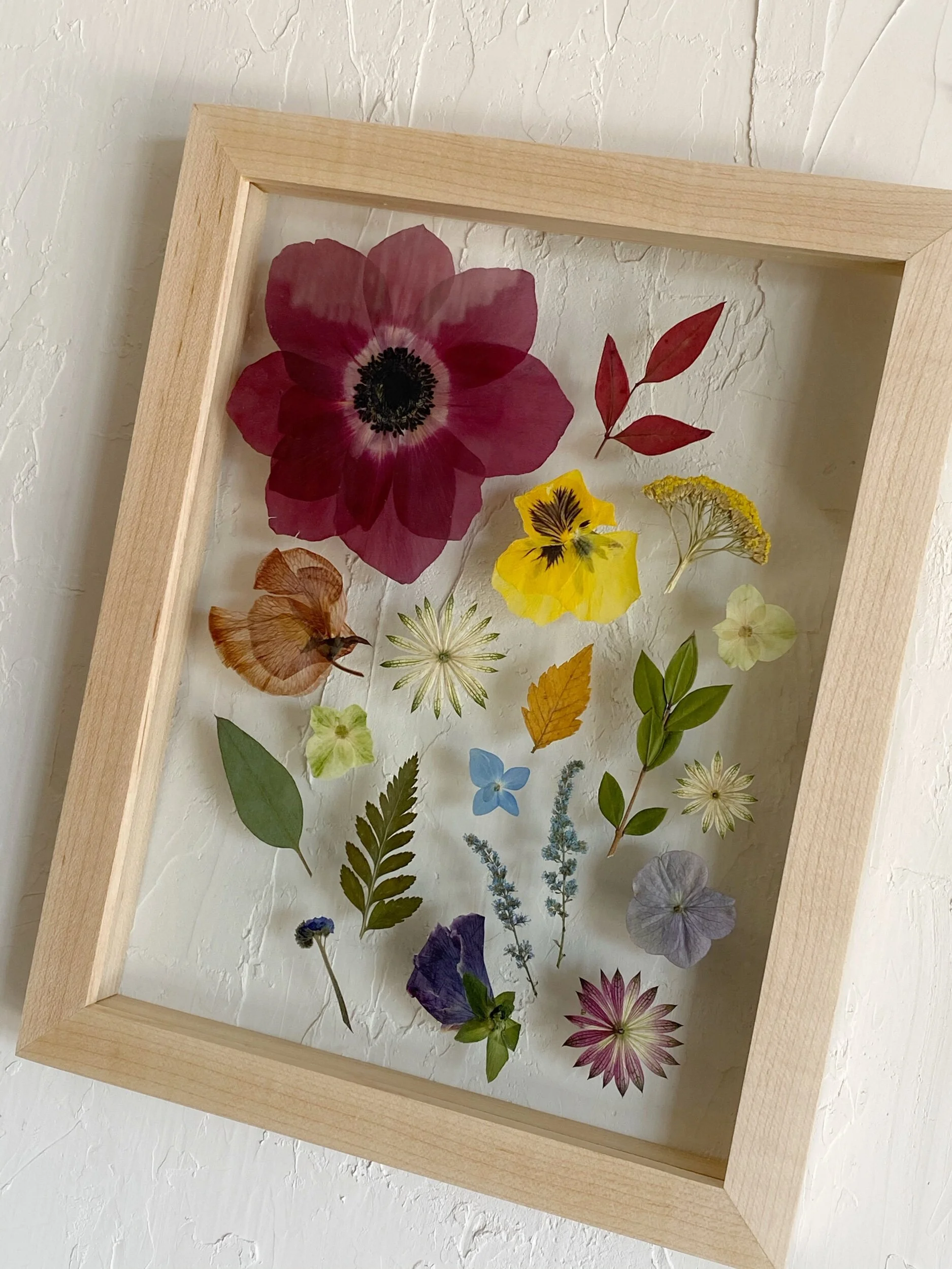 364523CC-84ED-42FC-B0ED-4E3E88CE5C6C