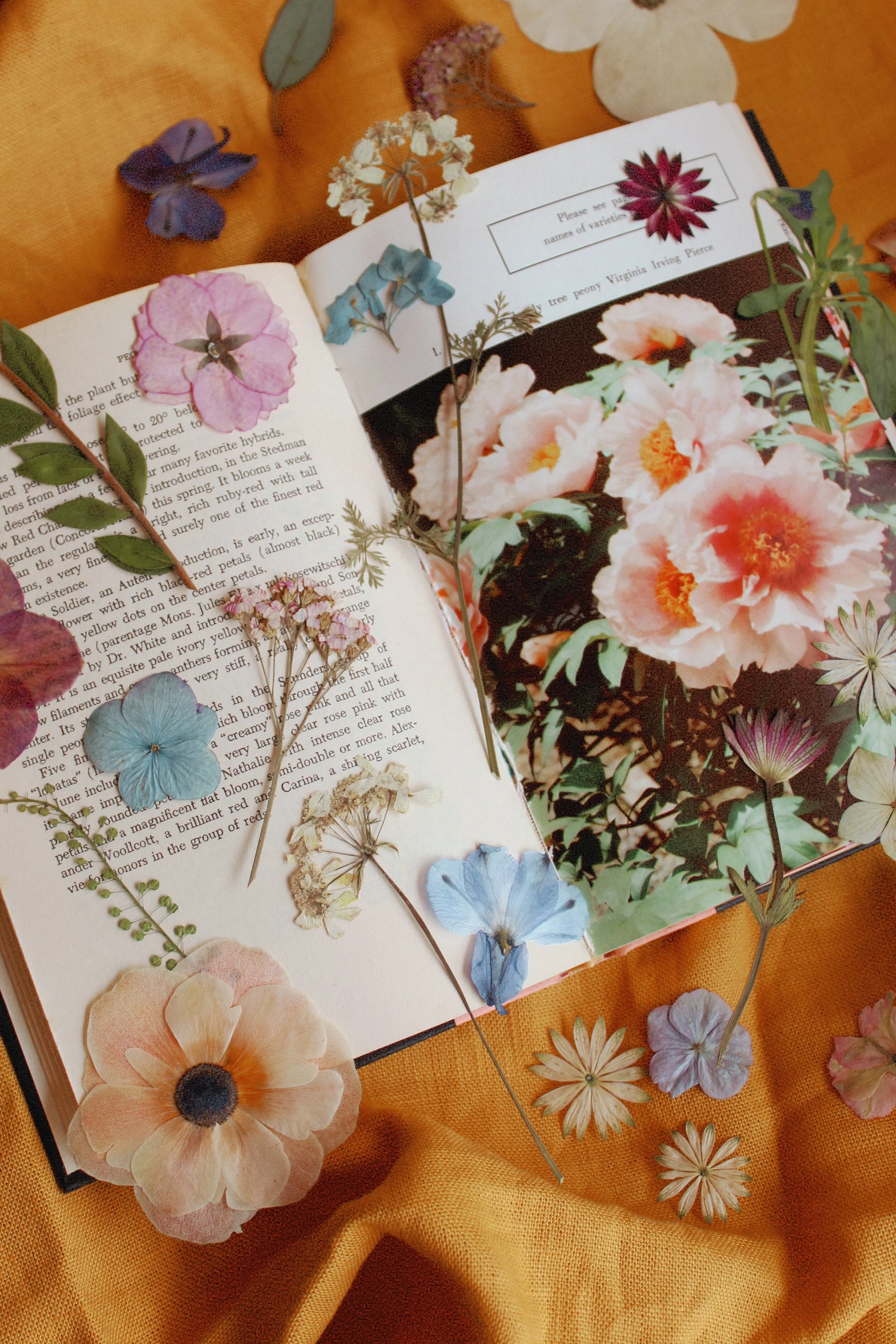 Framed Florals Reads // Spring 2021