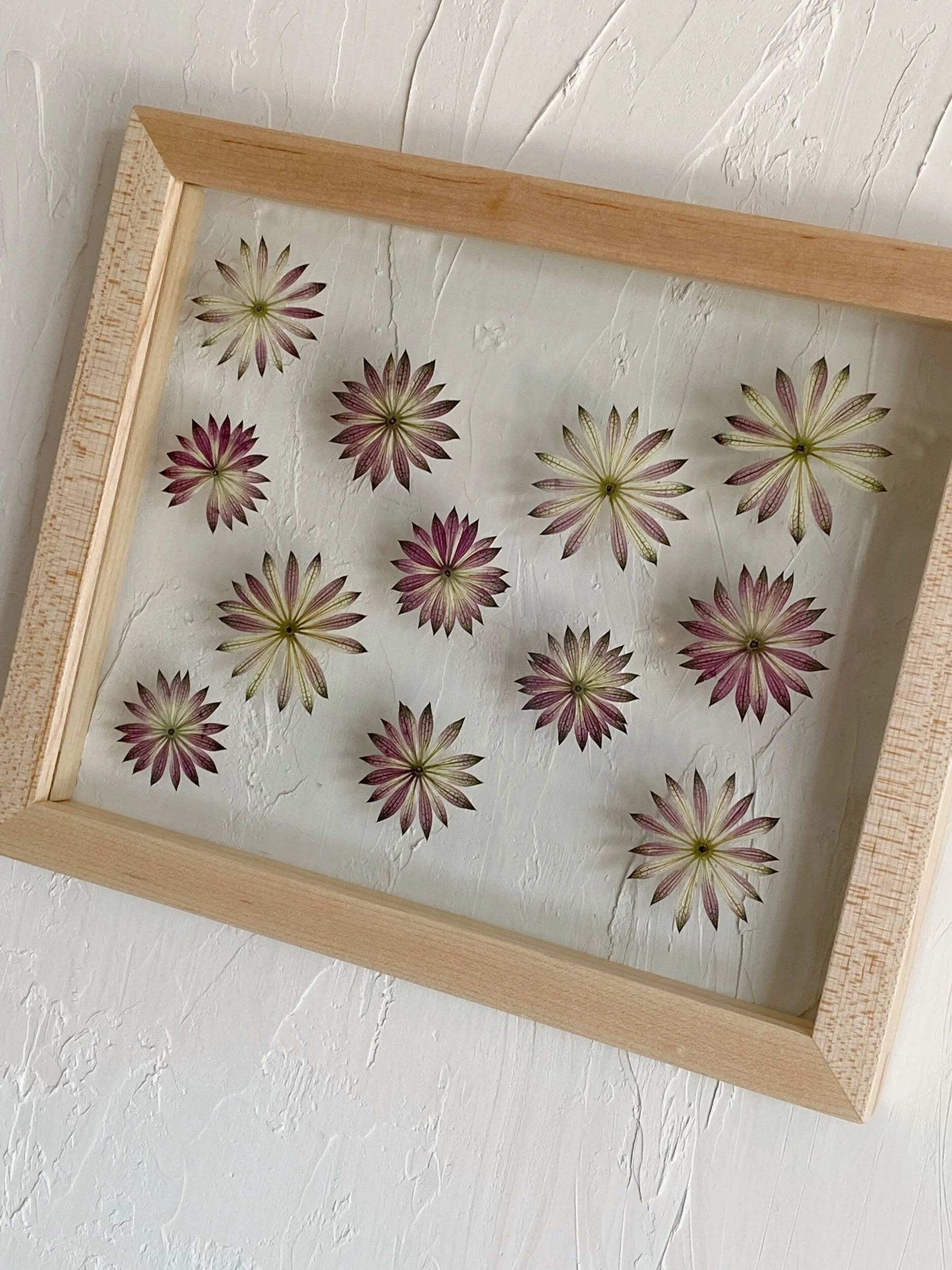 545EE183-49DD-48FE-B342-5974D8F7B977