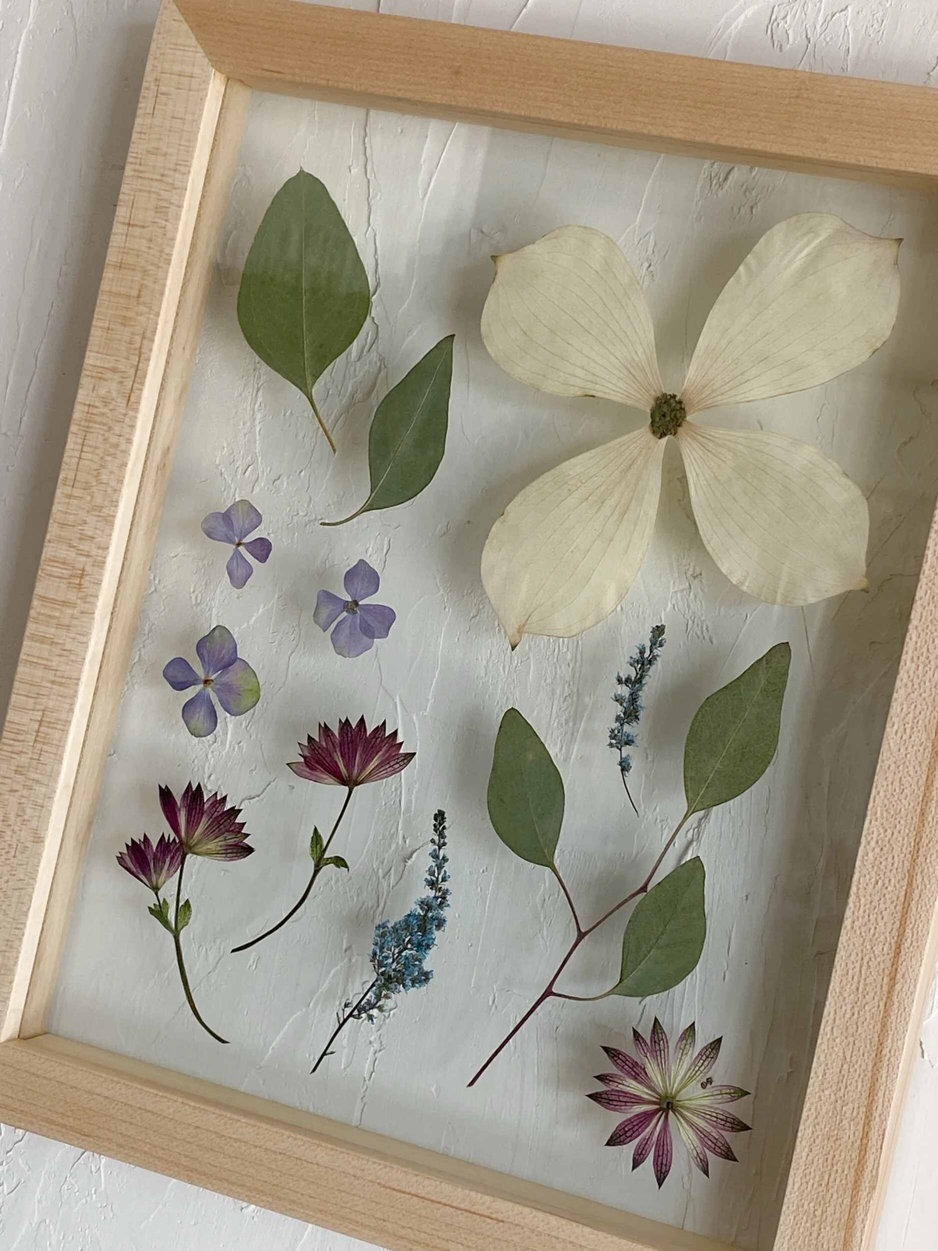 BFD0C7C3-CDE3-479B-BBDC-CA45FBF27F28