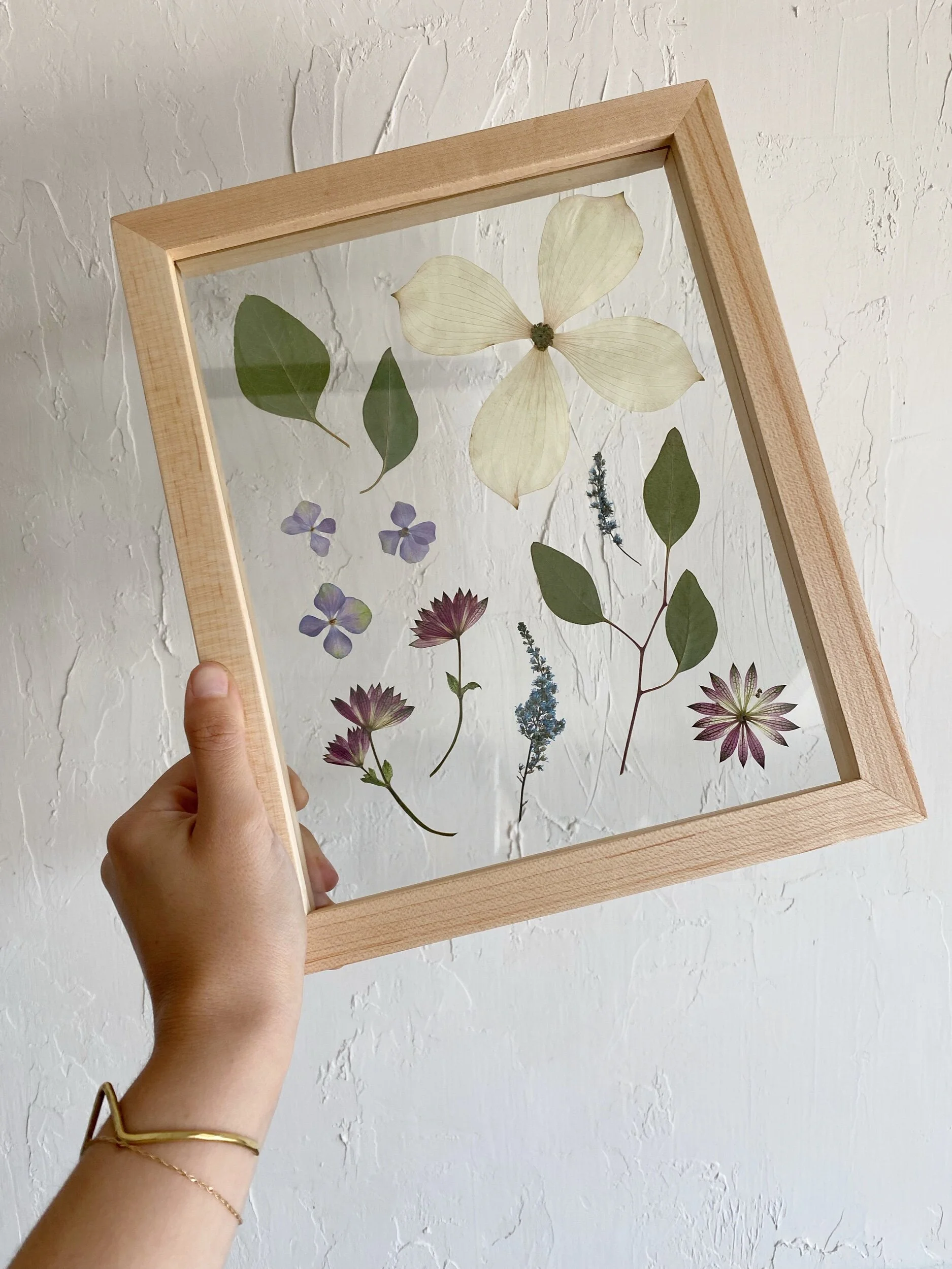 F65AB9C3-626C-498F-8B79-36C2CC206C9F