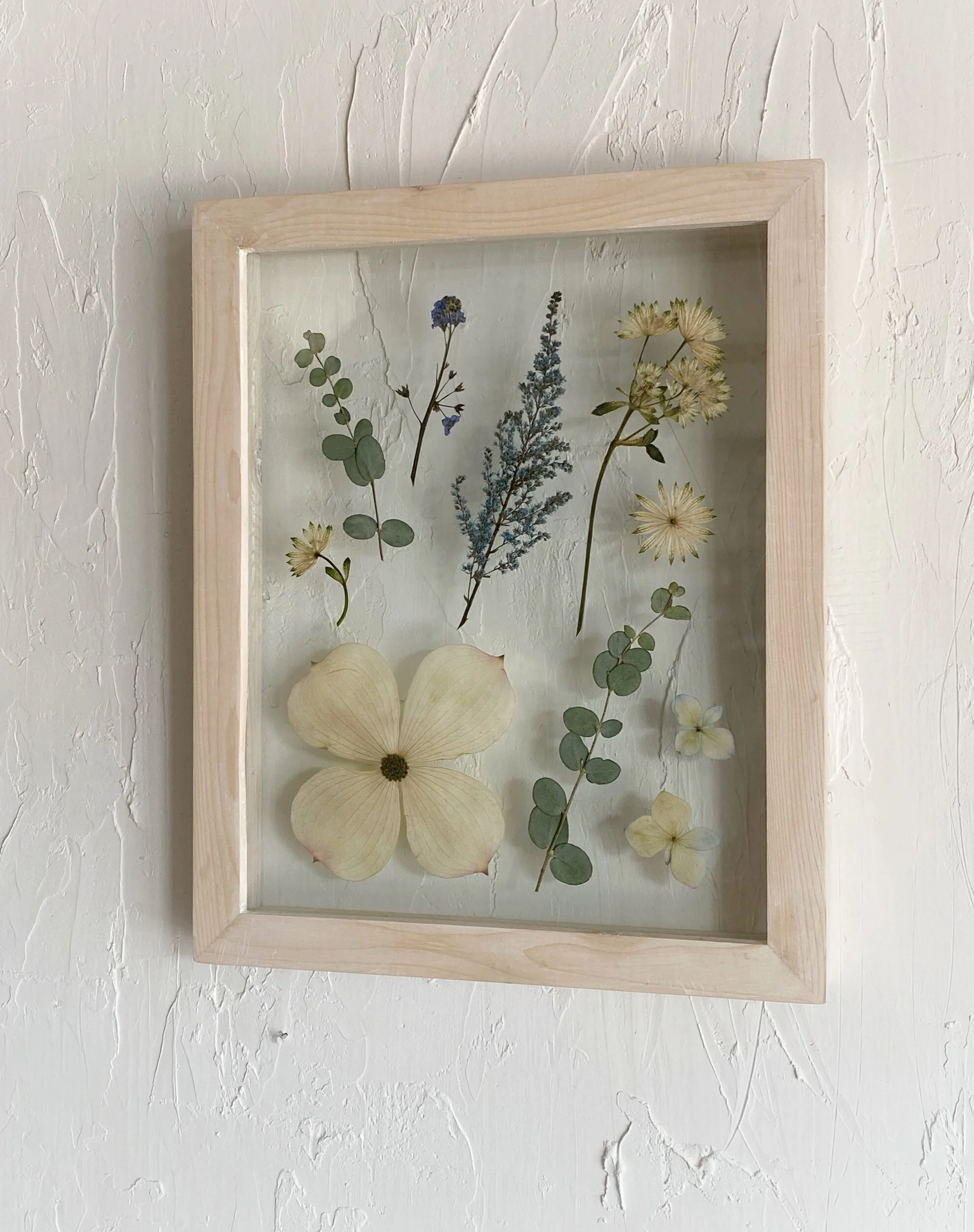 9534EDDA-CE41-43DC-BC9B-3F29285DD7B6