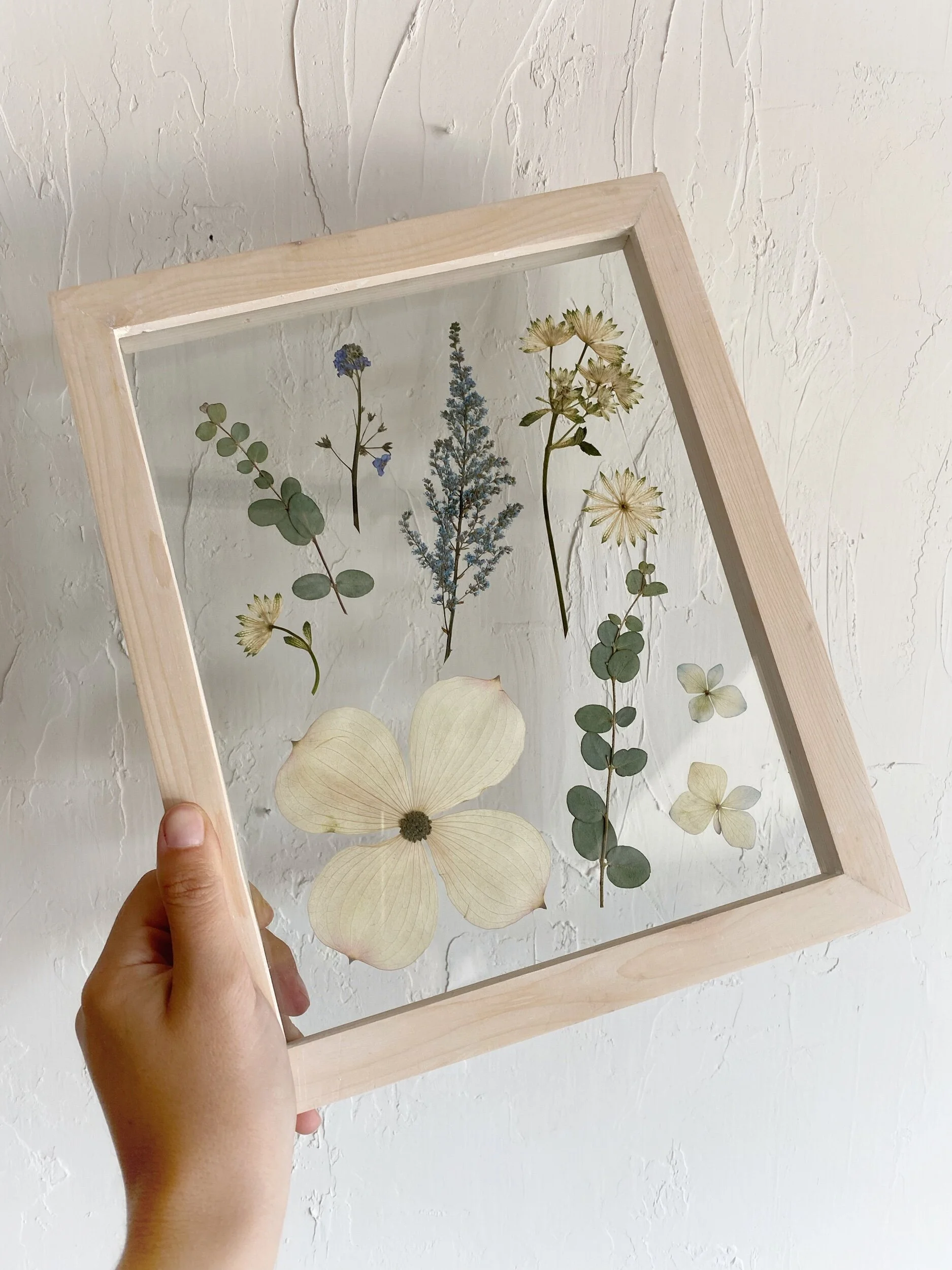 2D170A5E-79EB-41C1-B313-E62824D3D866