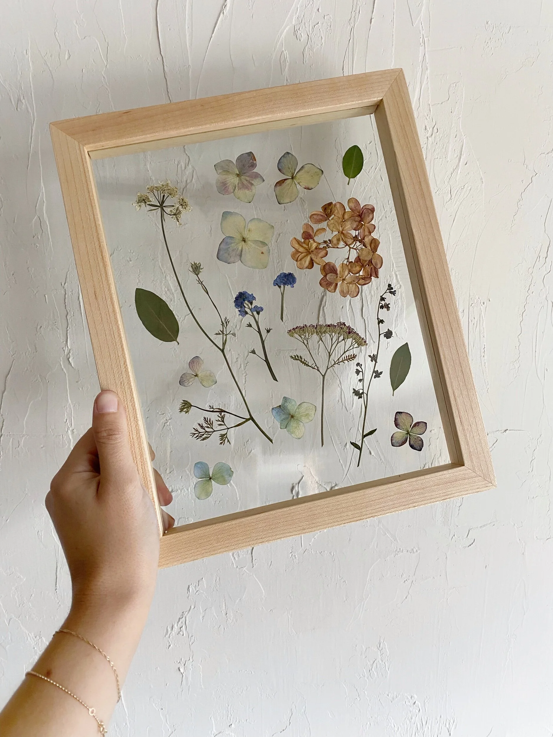 AEA4C0C7-3481-4D81-A783-FF556CCFE194