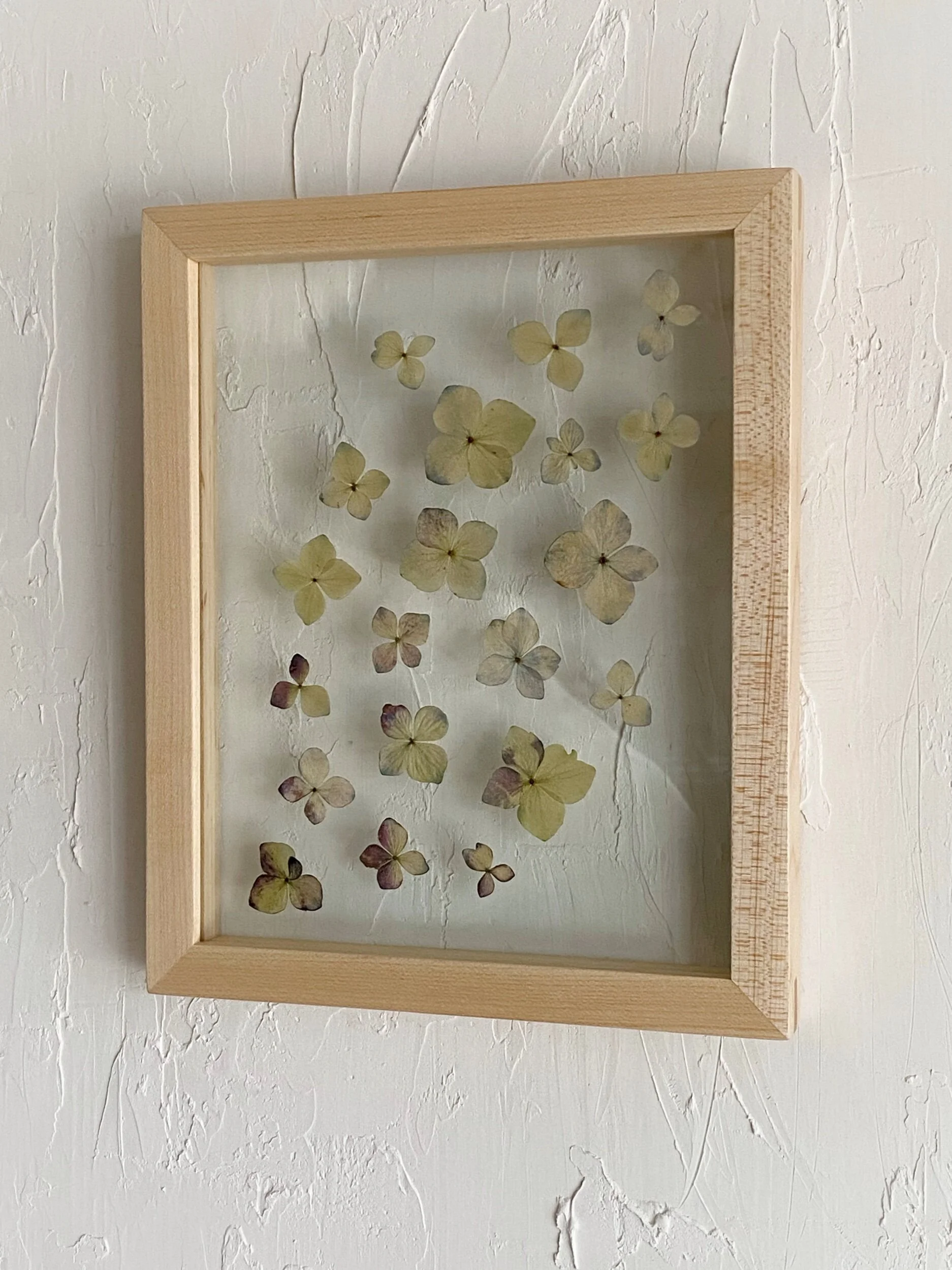 50E0063A-AF07-4567-99ED-917D153AD4DE