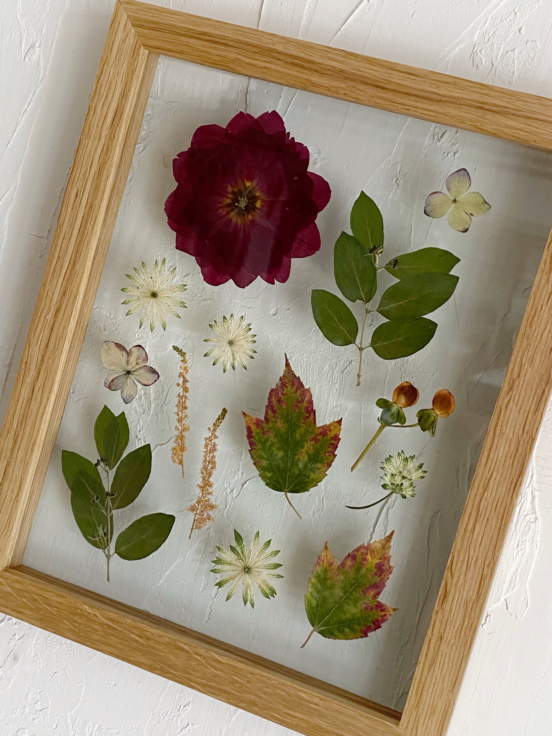 Frame XXXVI. // Framed Florals Shop