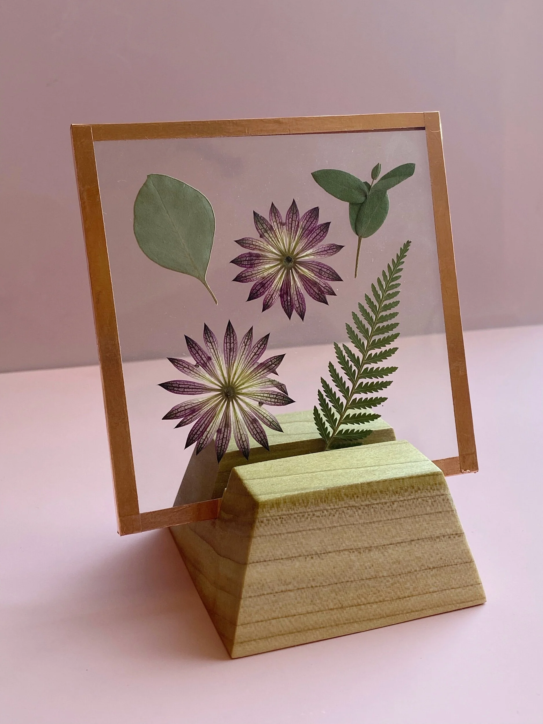 50481531-B973-4255-8963-E2B6A5487460