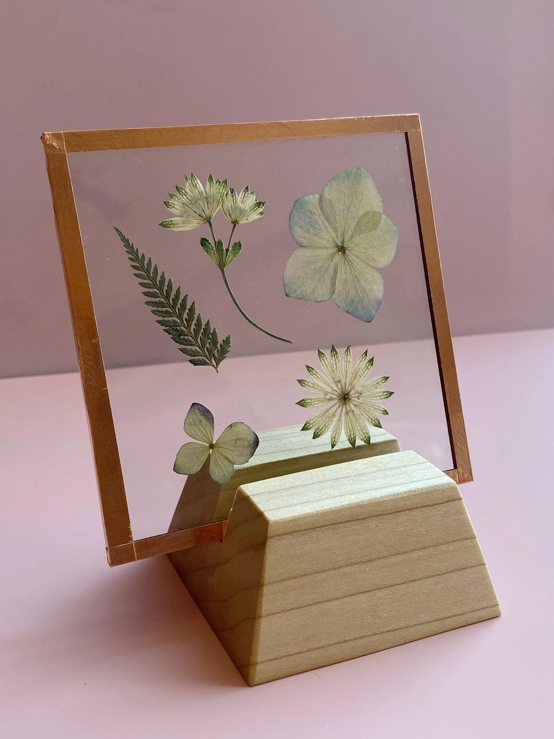 5259BF50-6E5B-4D23-B236-9A94A423214F