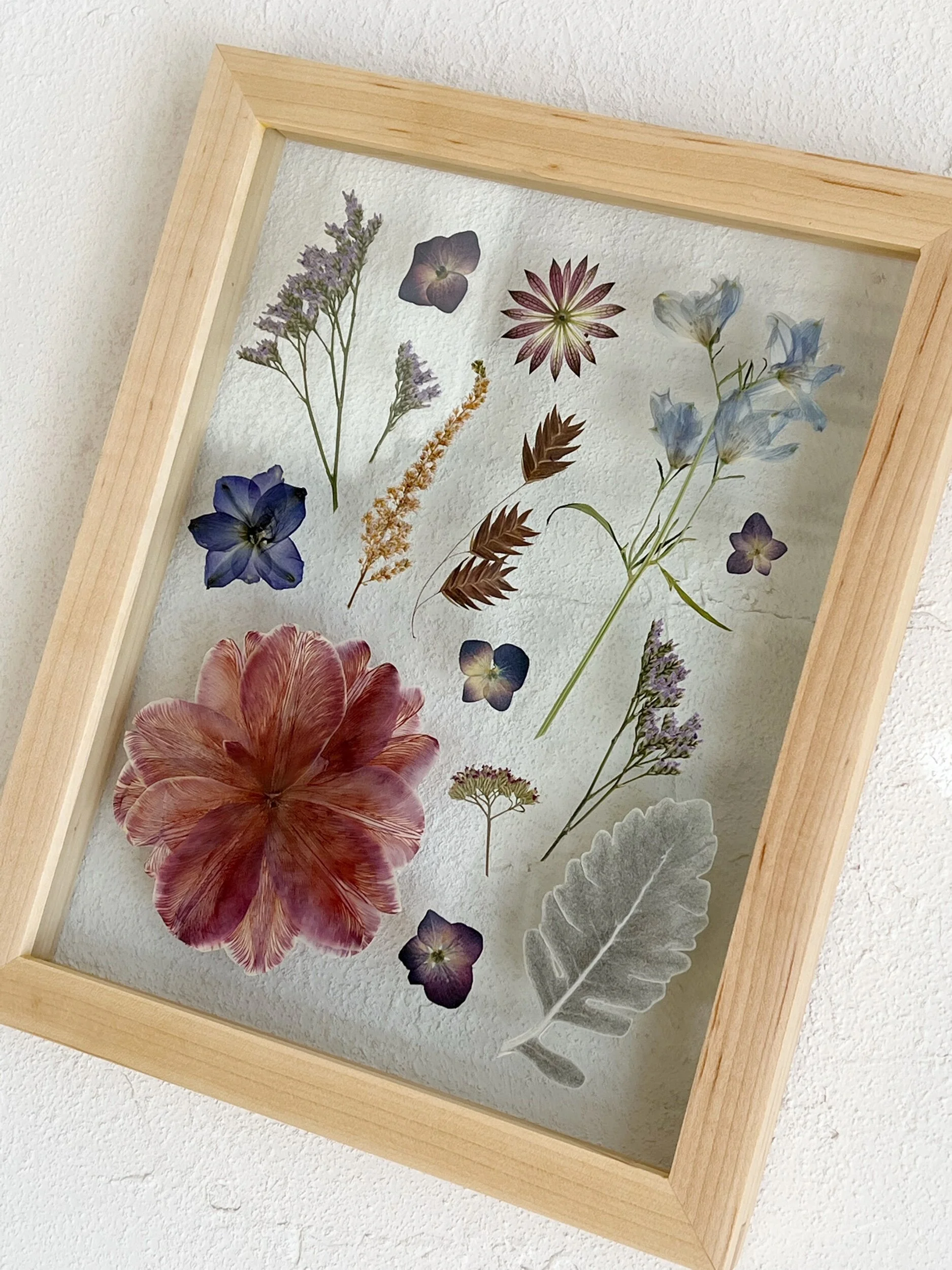 A52812C8-B20A-4924-AD75-3069790EACDC