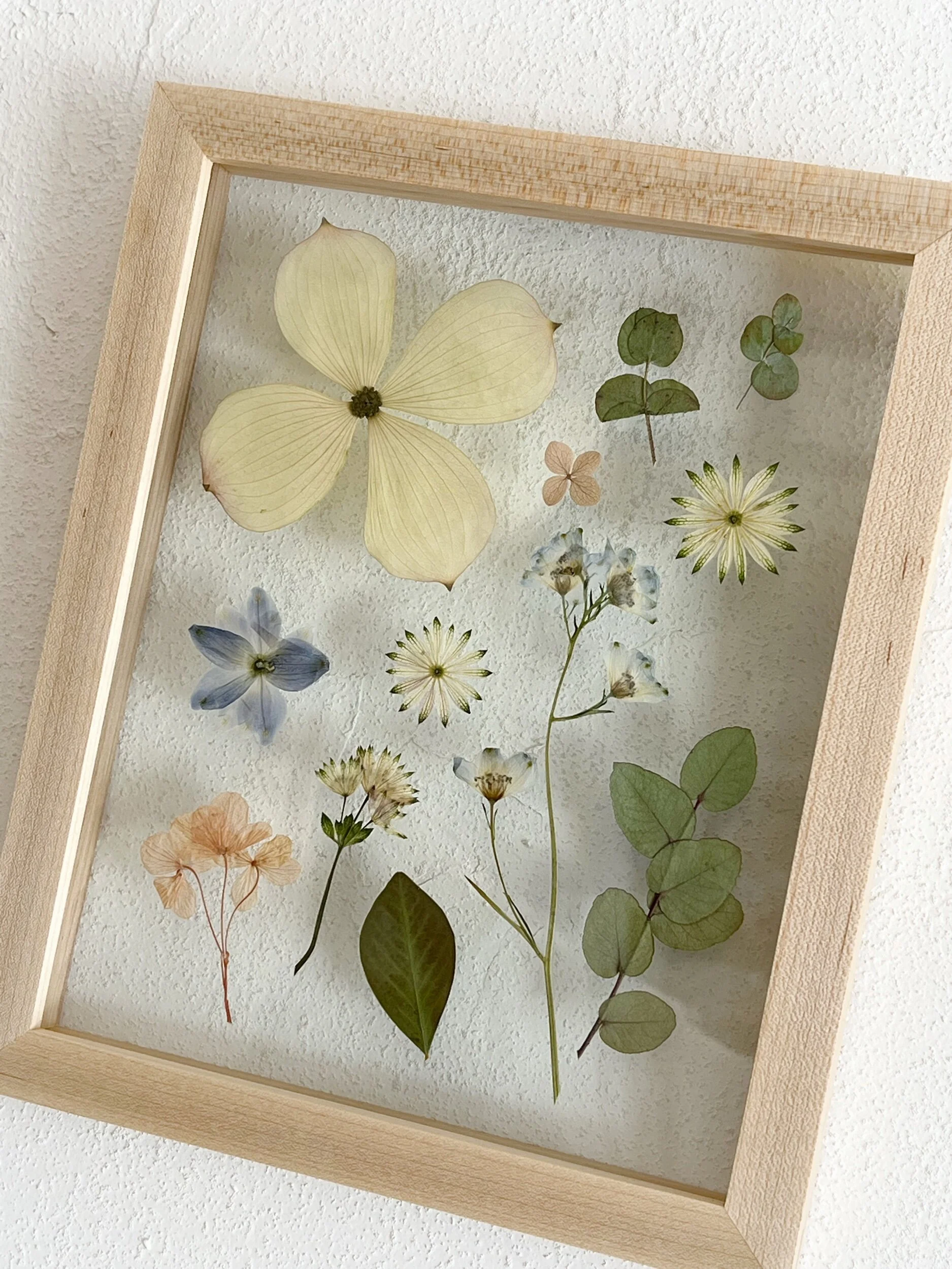 D2D871BC-6619-42CB-912C-3CBA6DD2964A