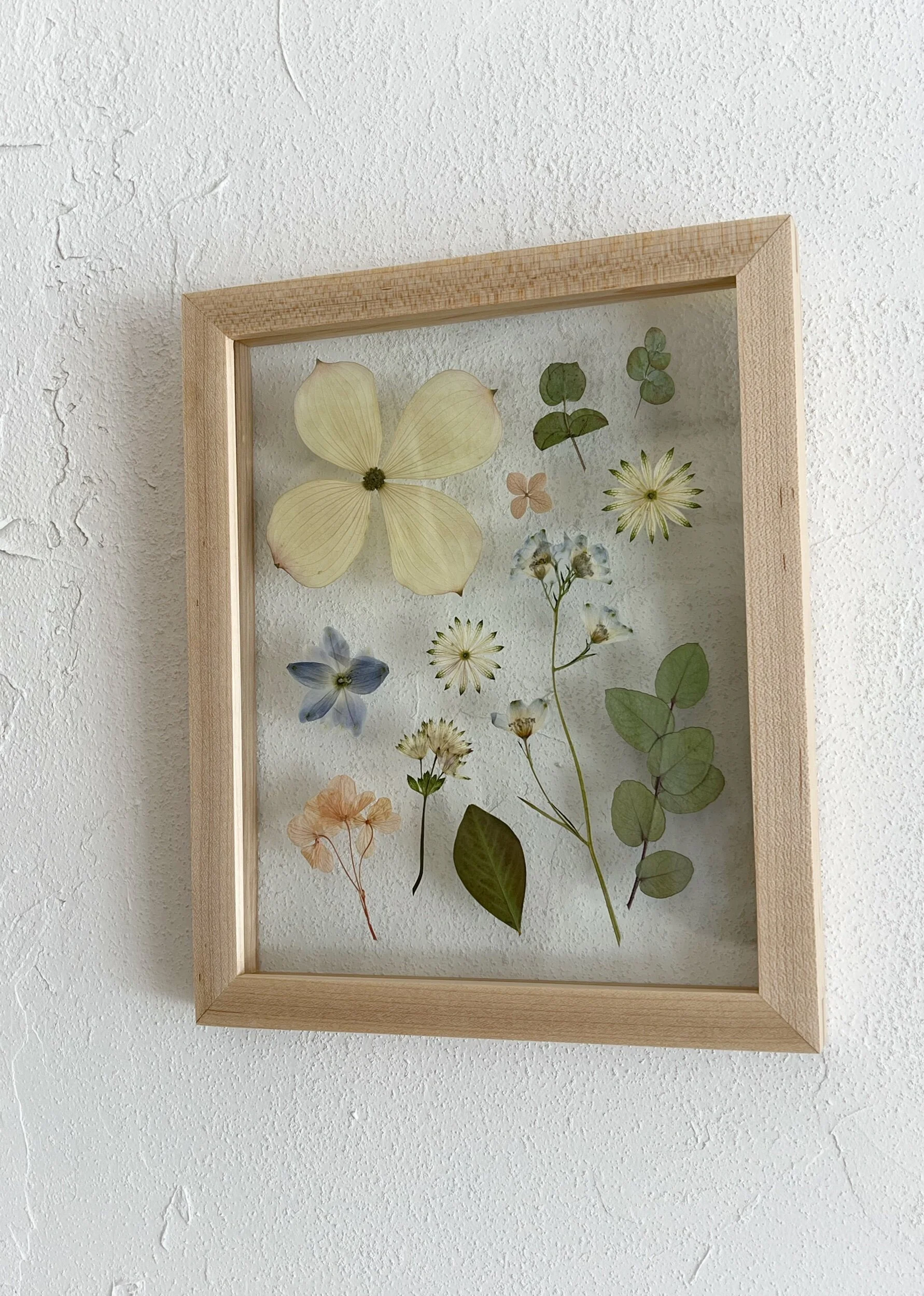 54F20B95-FE54-41B8-8F1B-5F1A7F336BF0