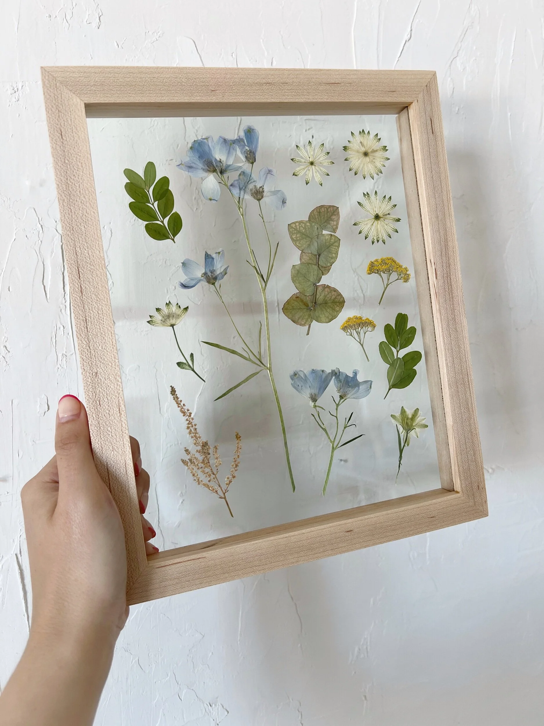 6A926619-CB2B-42AC-B123-4C16FDFFD157