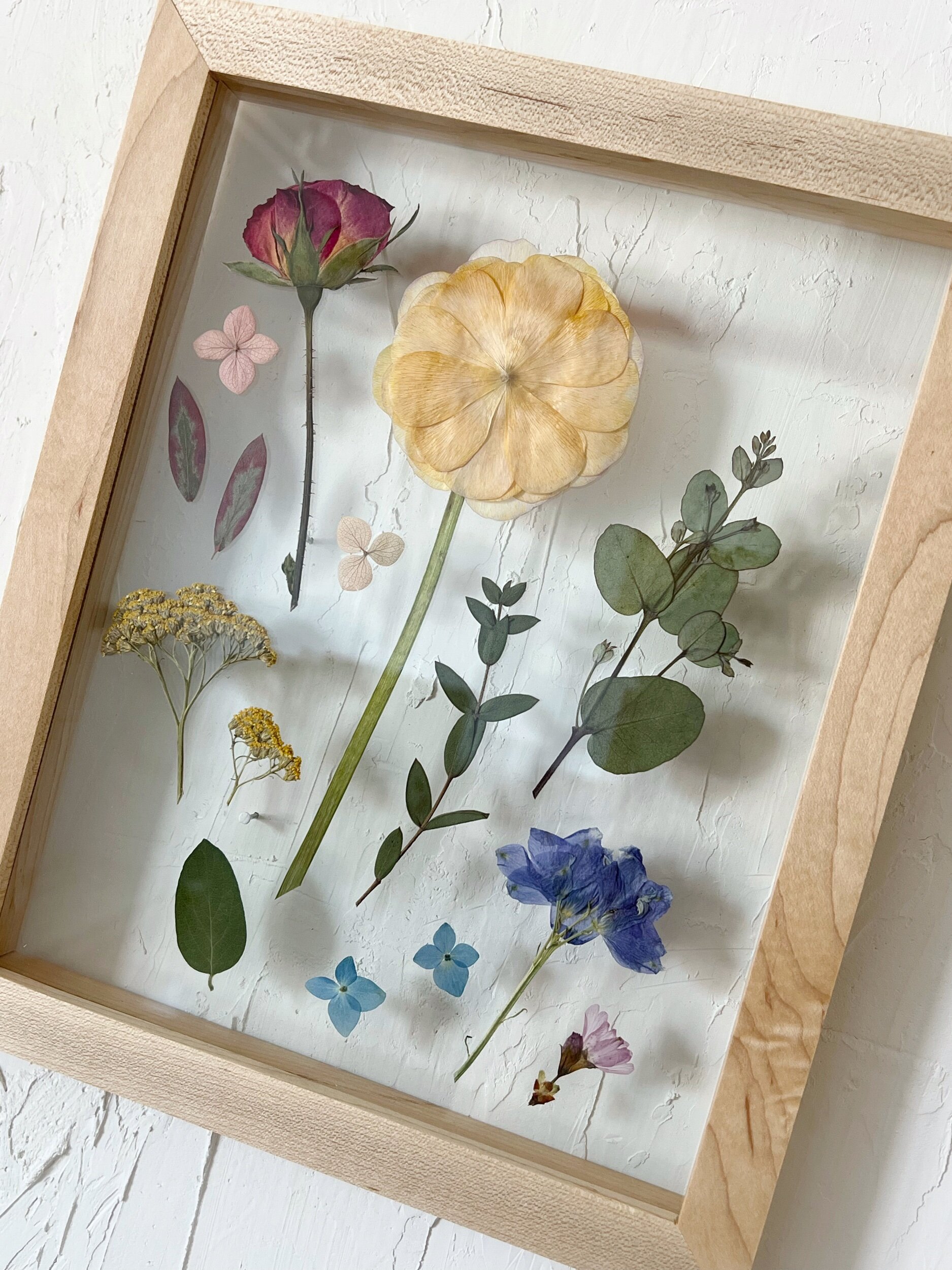 Rainbow Frame 04. // Framed Florals Shop
