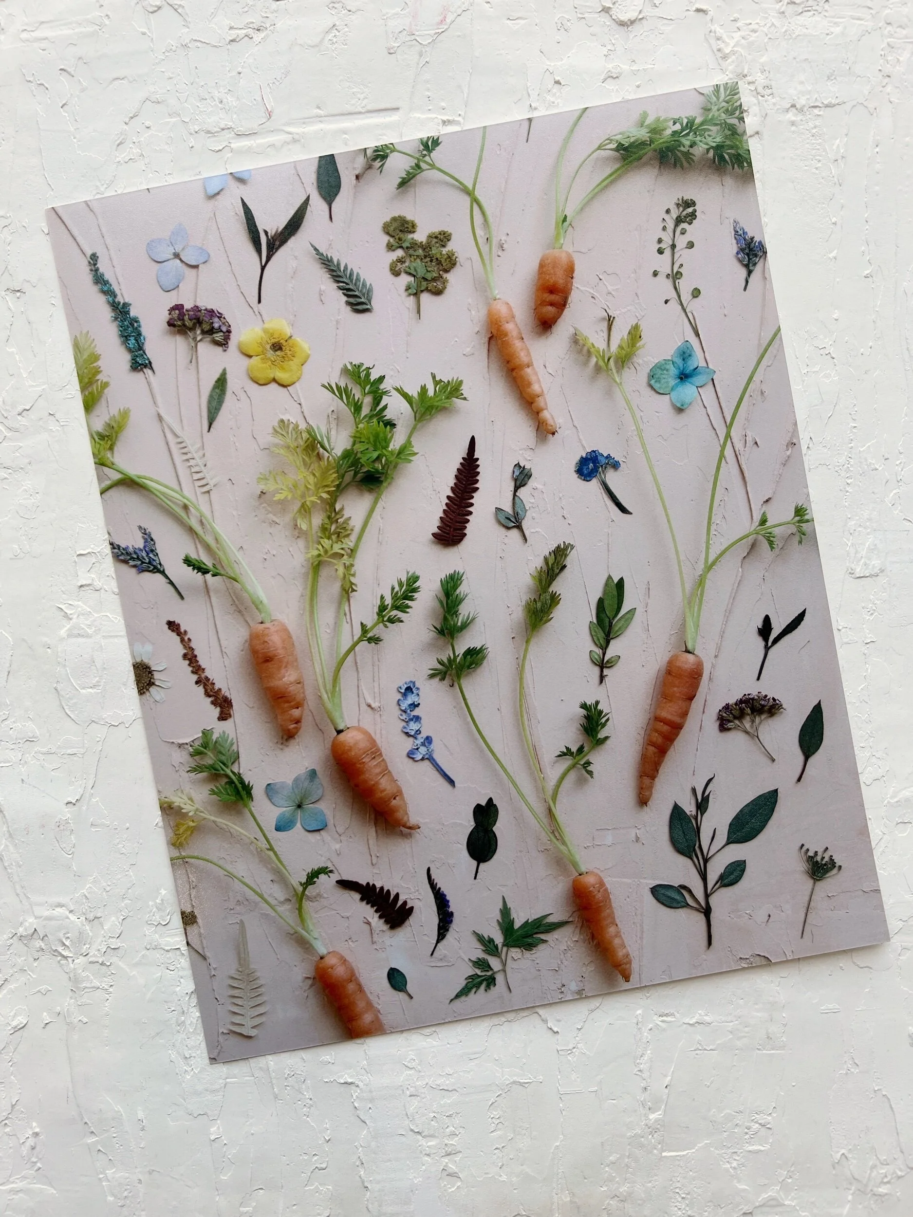 C5FCBE0A-2771-42ED-9B22-9FC019B204FF