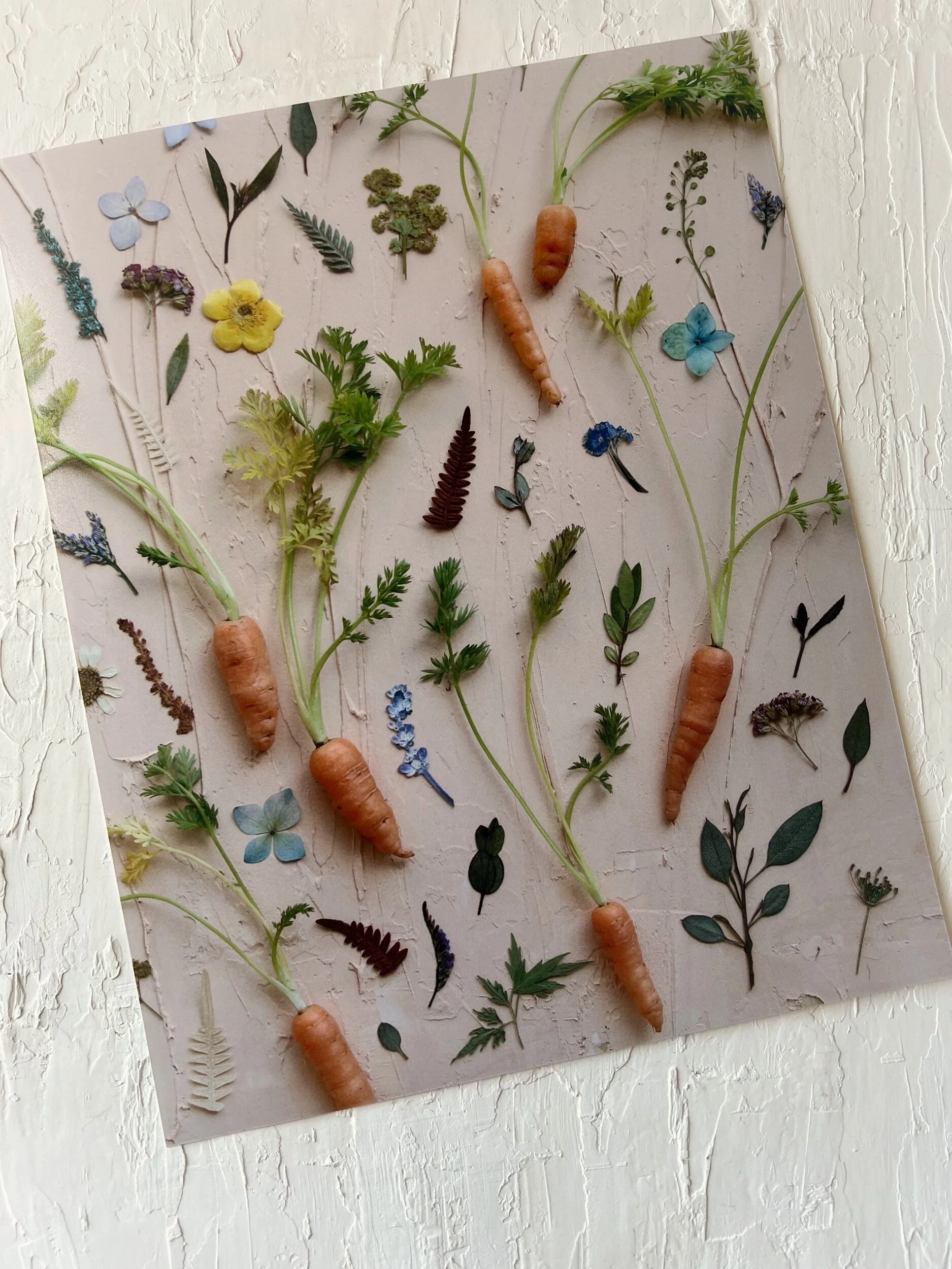 CC63D71C-5BBF-4CA1-BF46-426115302538