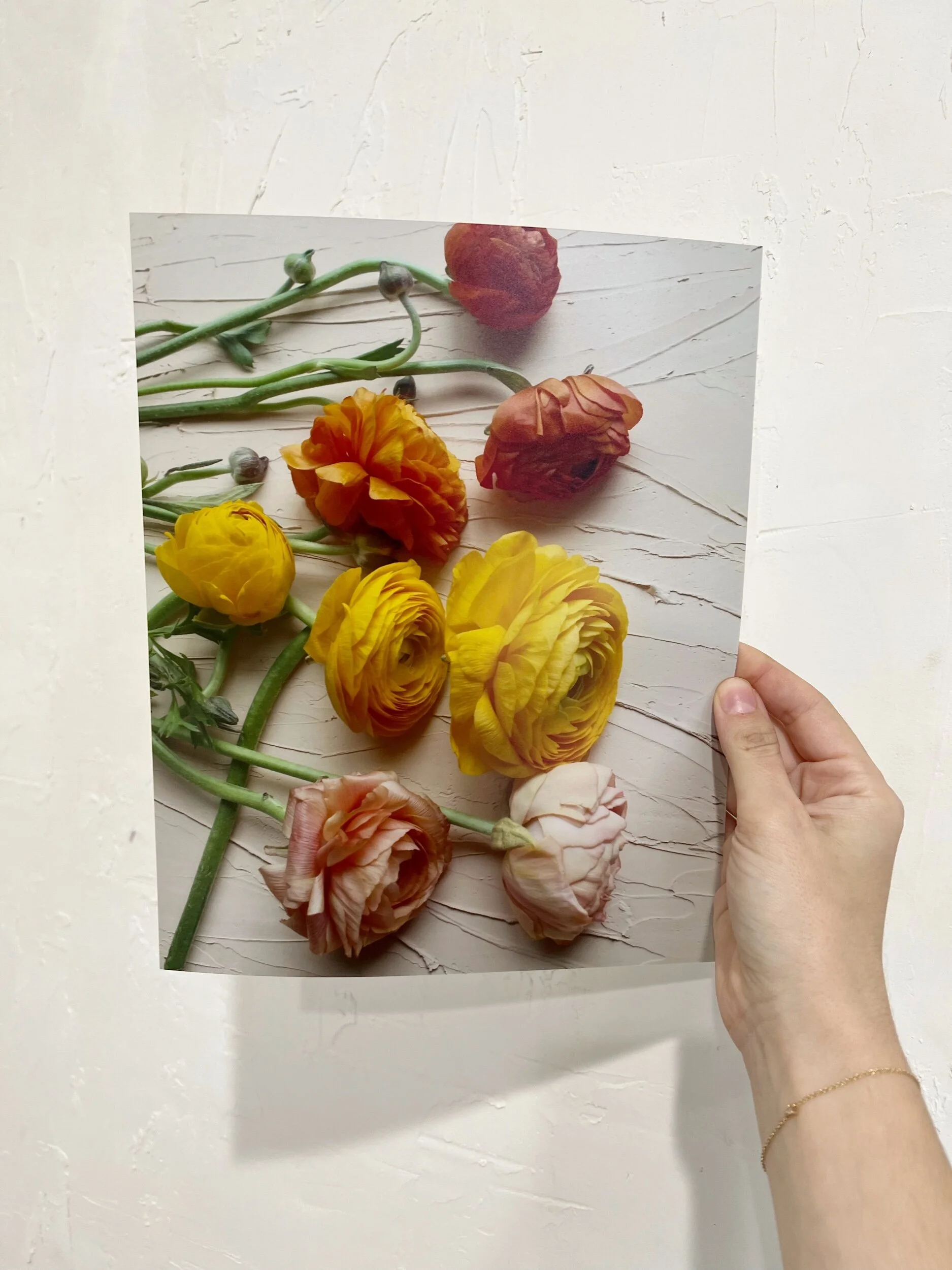 71CD368E-0F1A-4892-9171-EE63D1008163