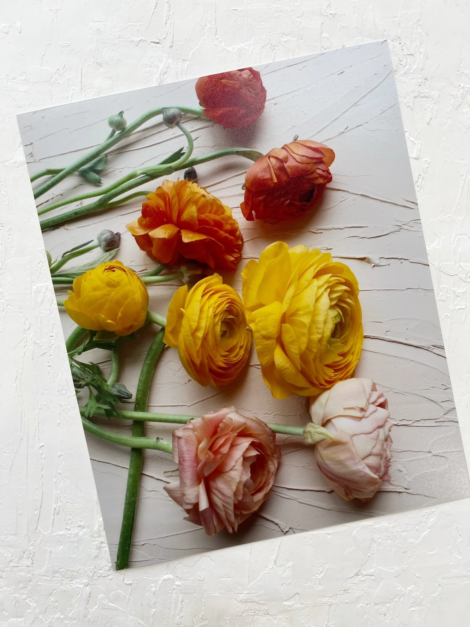 9DE2C283-5F9C-4EAE-922C-738200D93F0C