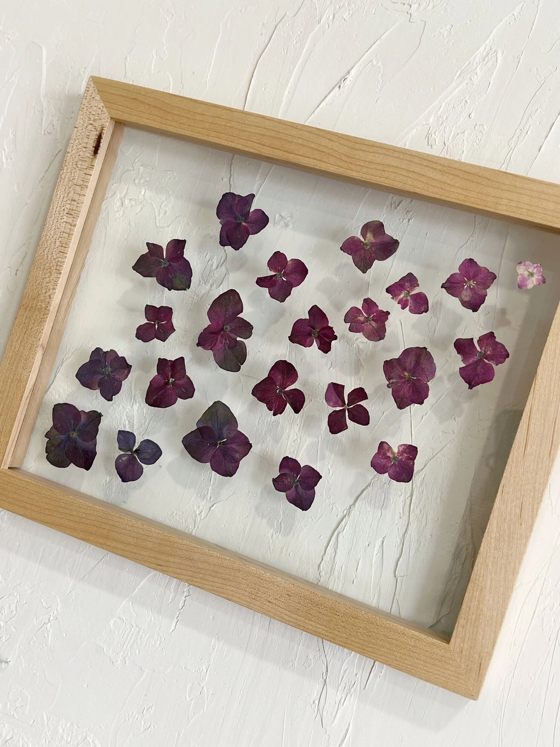 6B2964C2-B72A-42FA-BDD4-7A5F4FDE8ED2