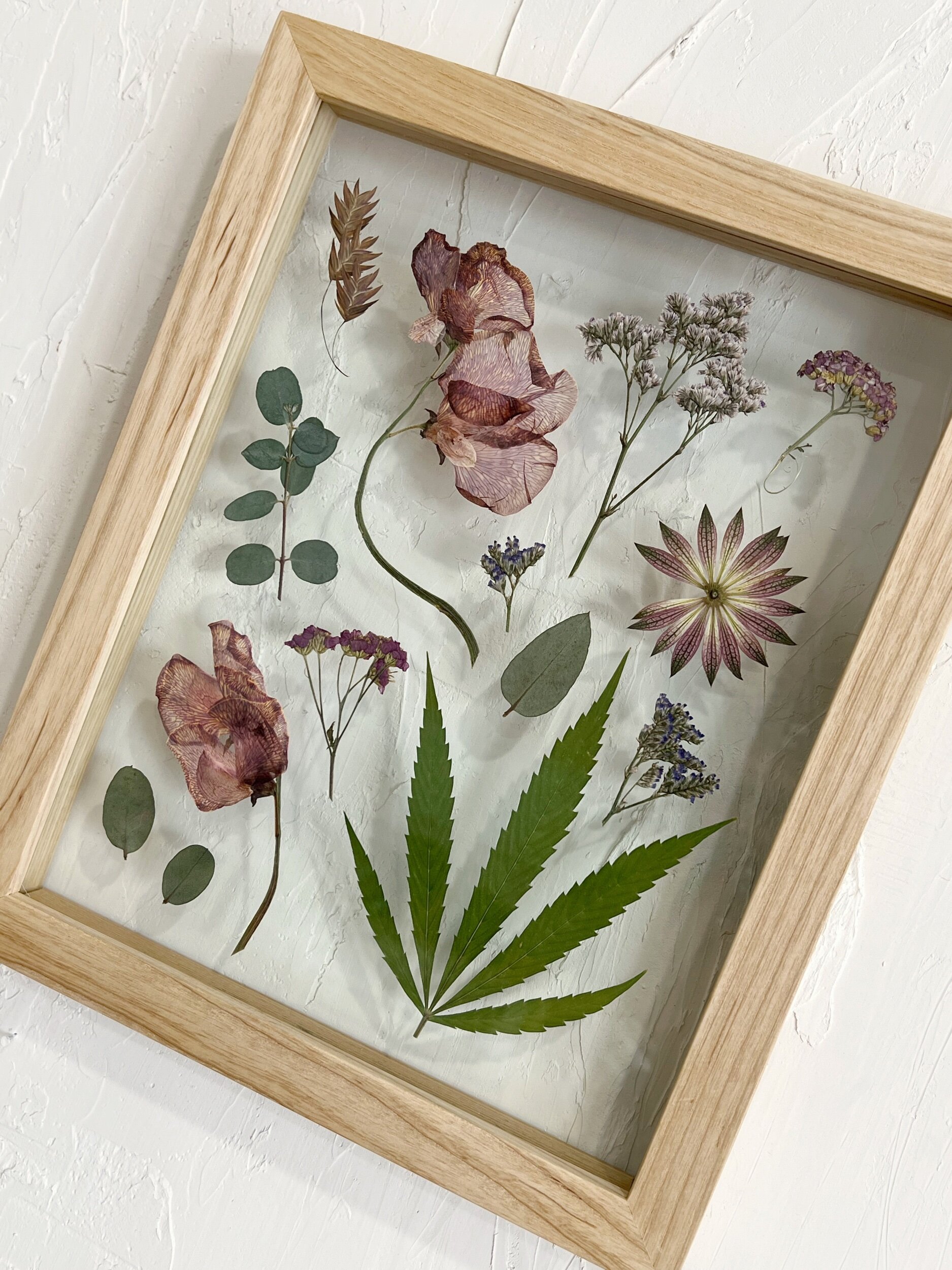 D5800DBC-C1D2-4F2D-8FF1-85462B3576F3