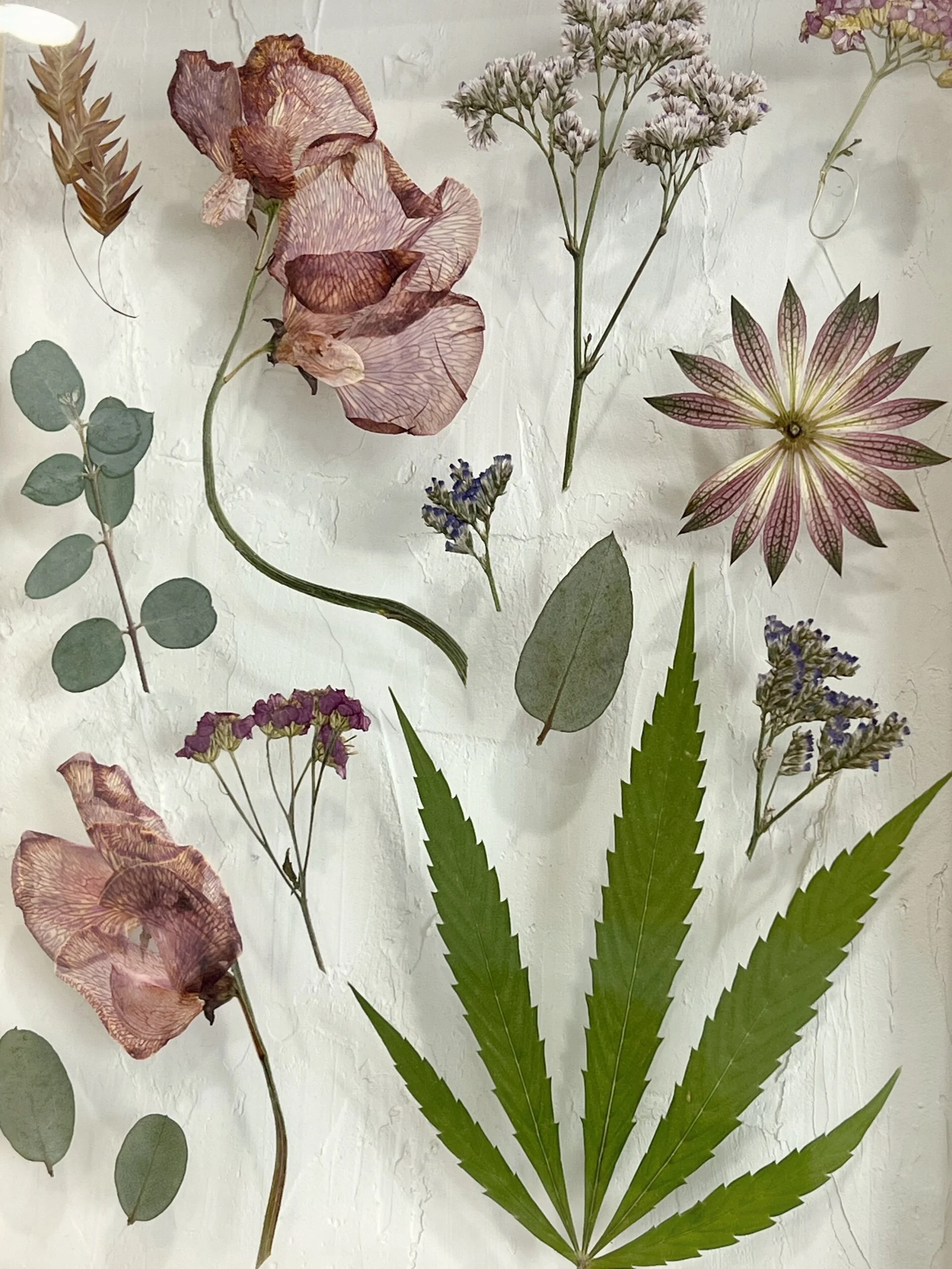 E77A506F-53B5-4047-A548-3417BFEB8262