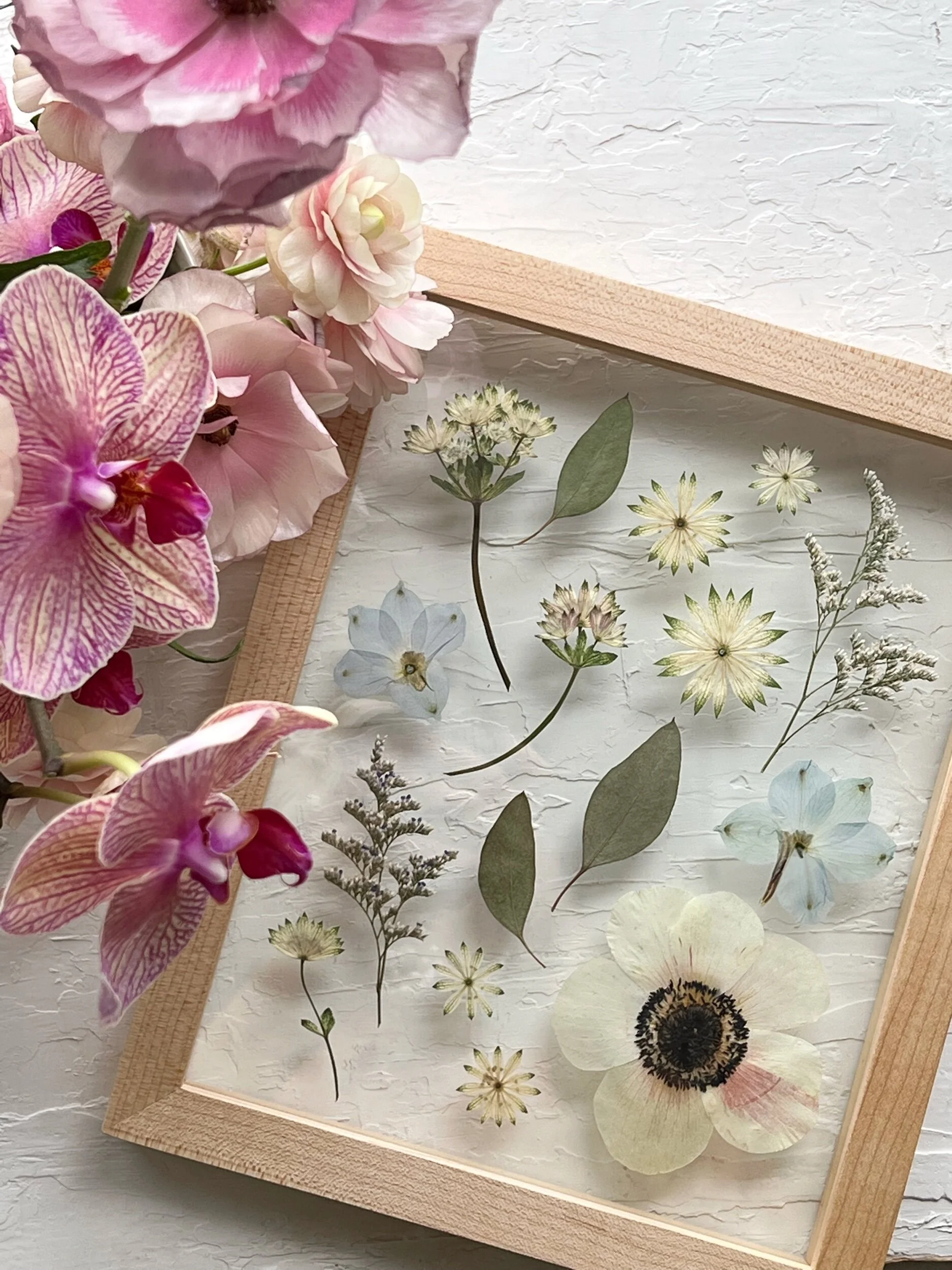 5F44769F-2FD1-4233-98F7-7439AE0883CC