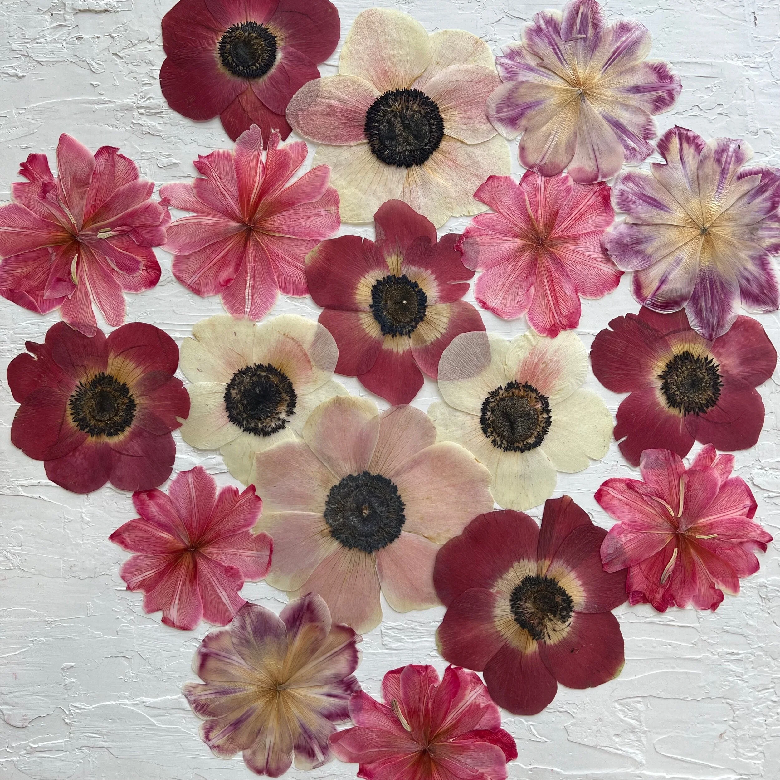 59409A70-FB81-456D-97A3-3F1AADCA2536