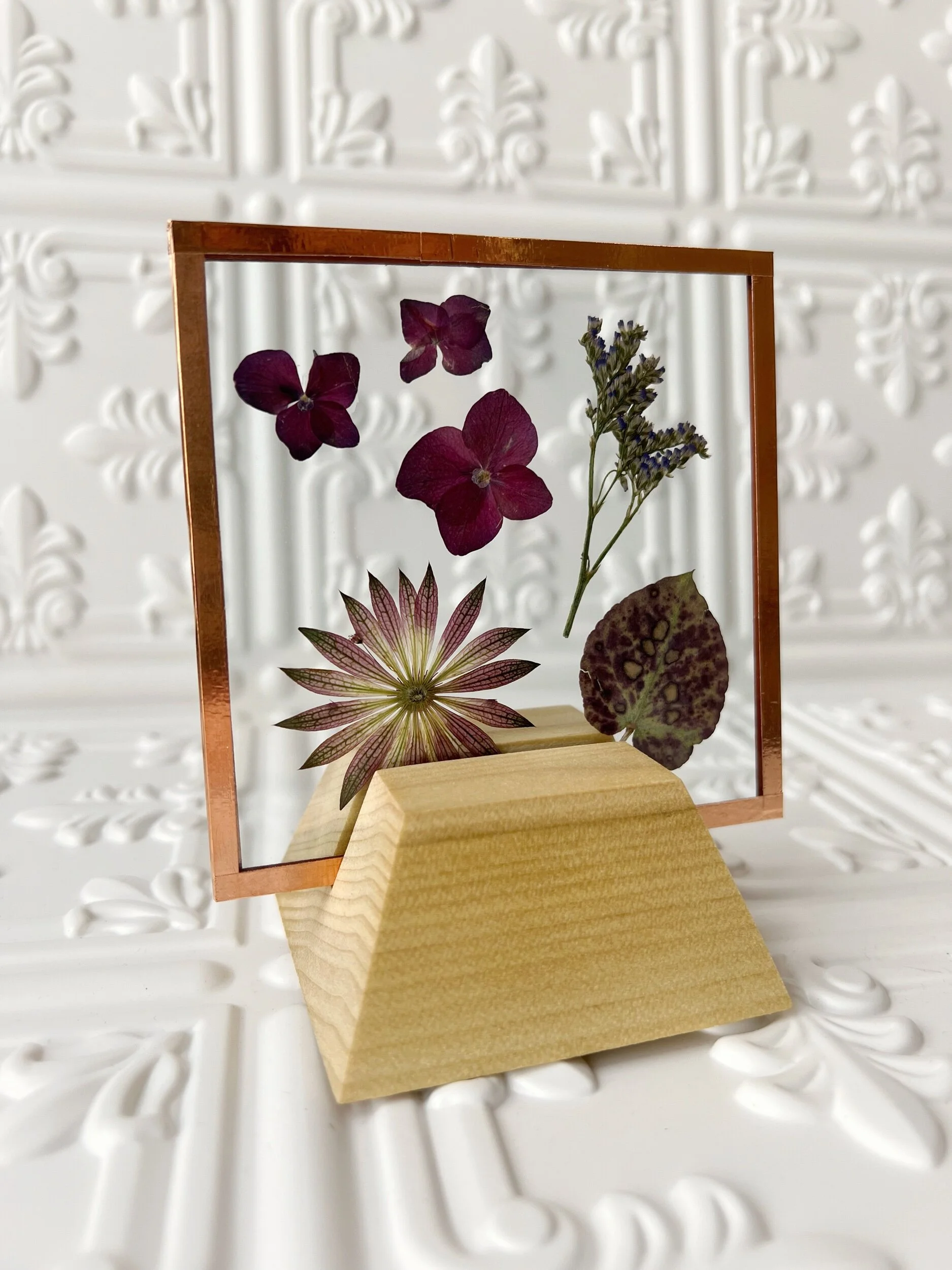 541A95A5-8EFD-4F4B-9C5D-0789B200E6B0