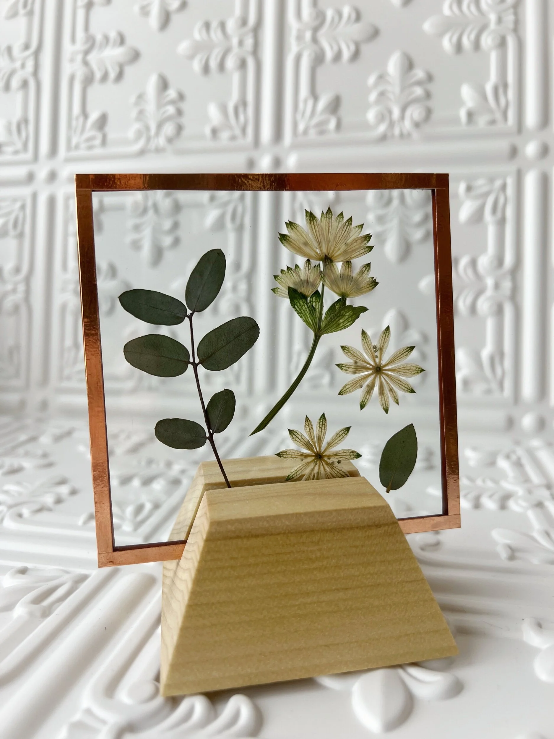 AE711B69-B3B6-4C3D-BE33-1E4291F93EE4