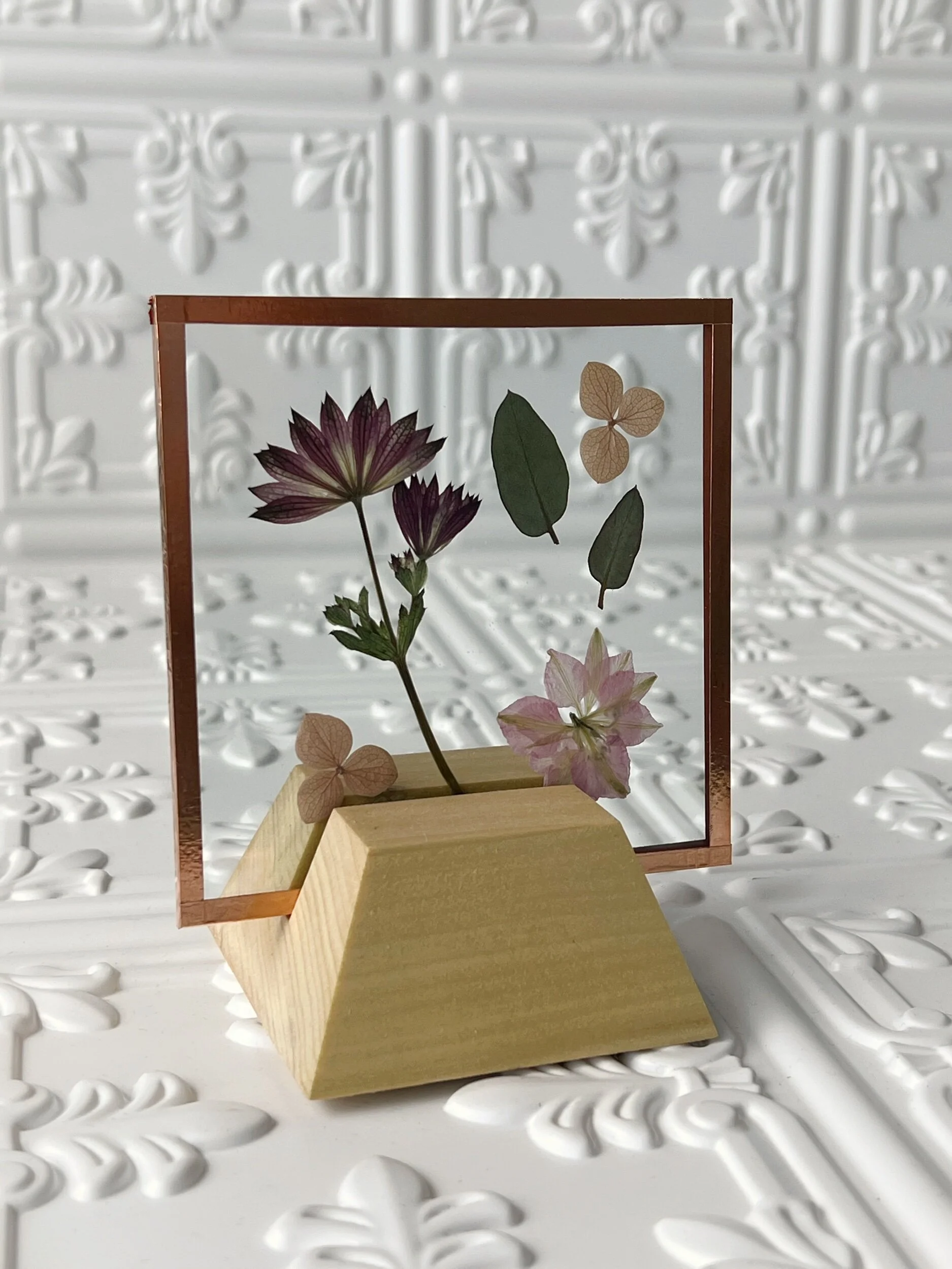 22BC3350-2E08-4B5A-9B0F-124E83DDE217