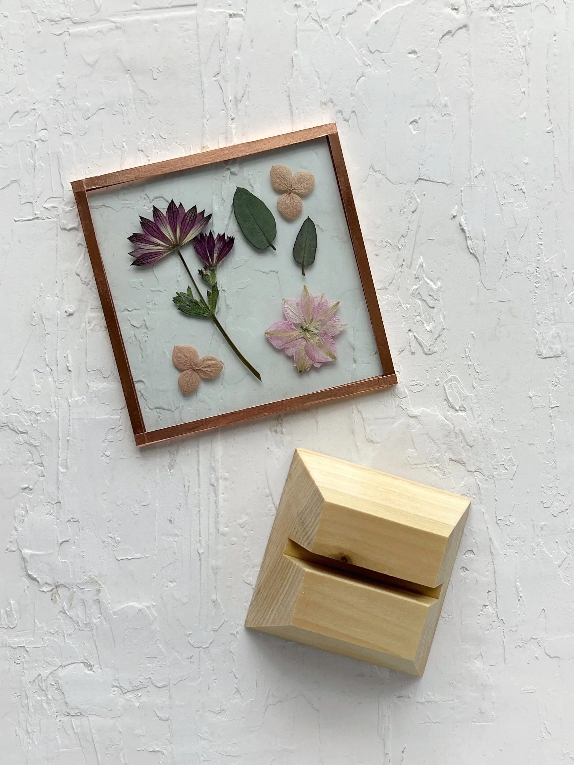 4794EC91-F8E4-4AAE-A6B1-ED49791D1361