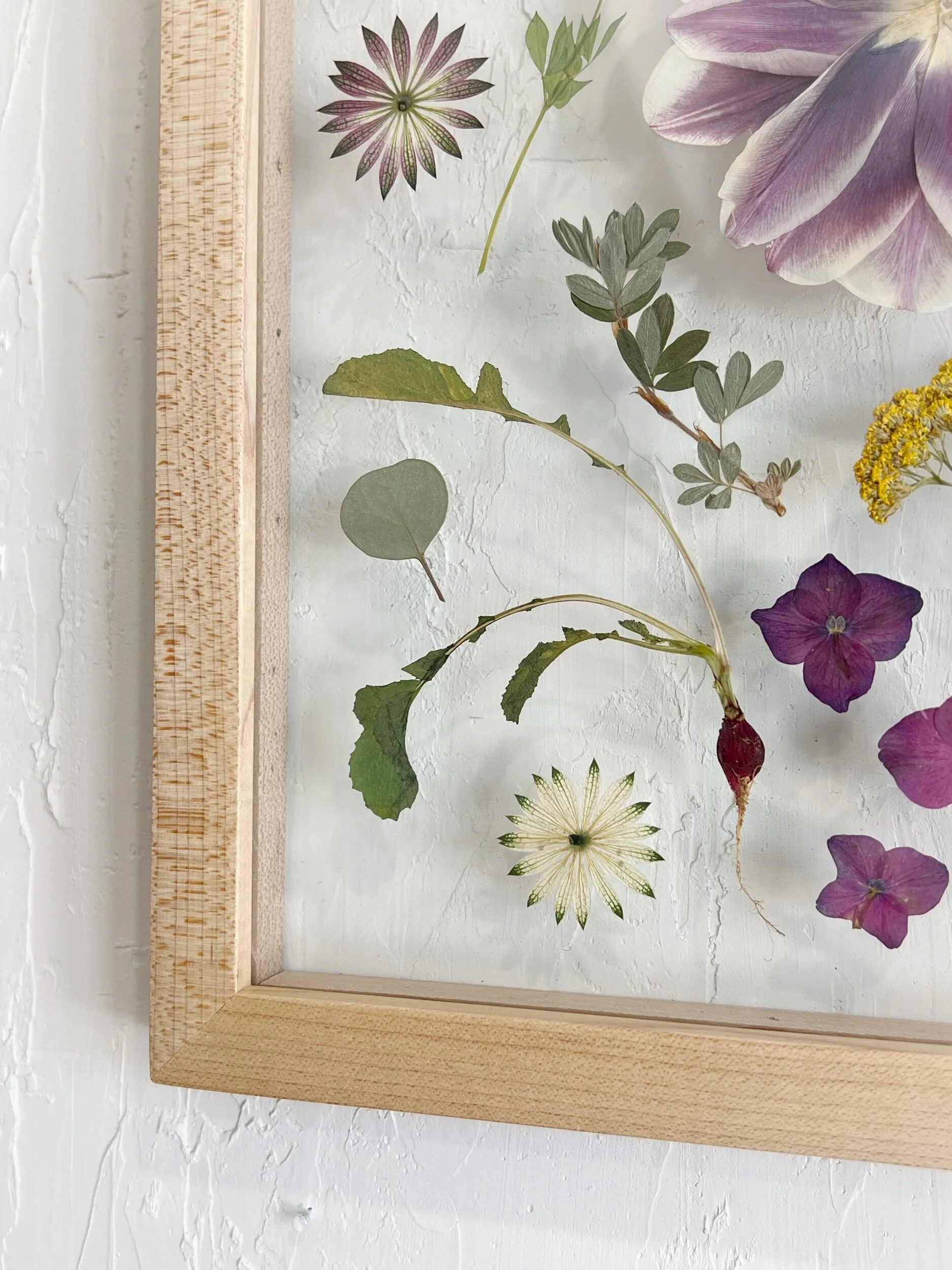 086260A8-8083-433F-B2AB-B0BF93D88704