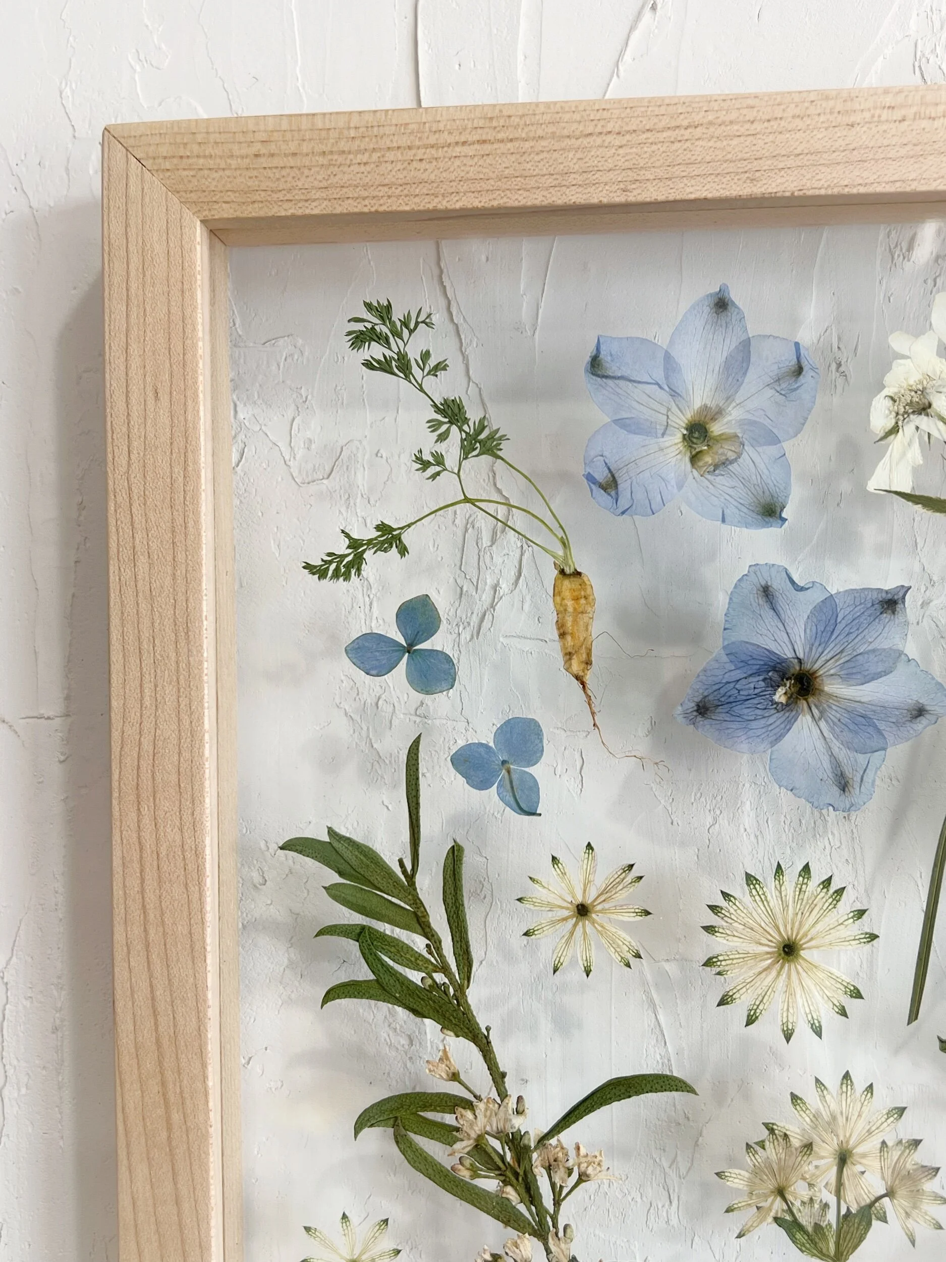 A3314715-3007-4812-A71A-F8025B64EB6B