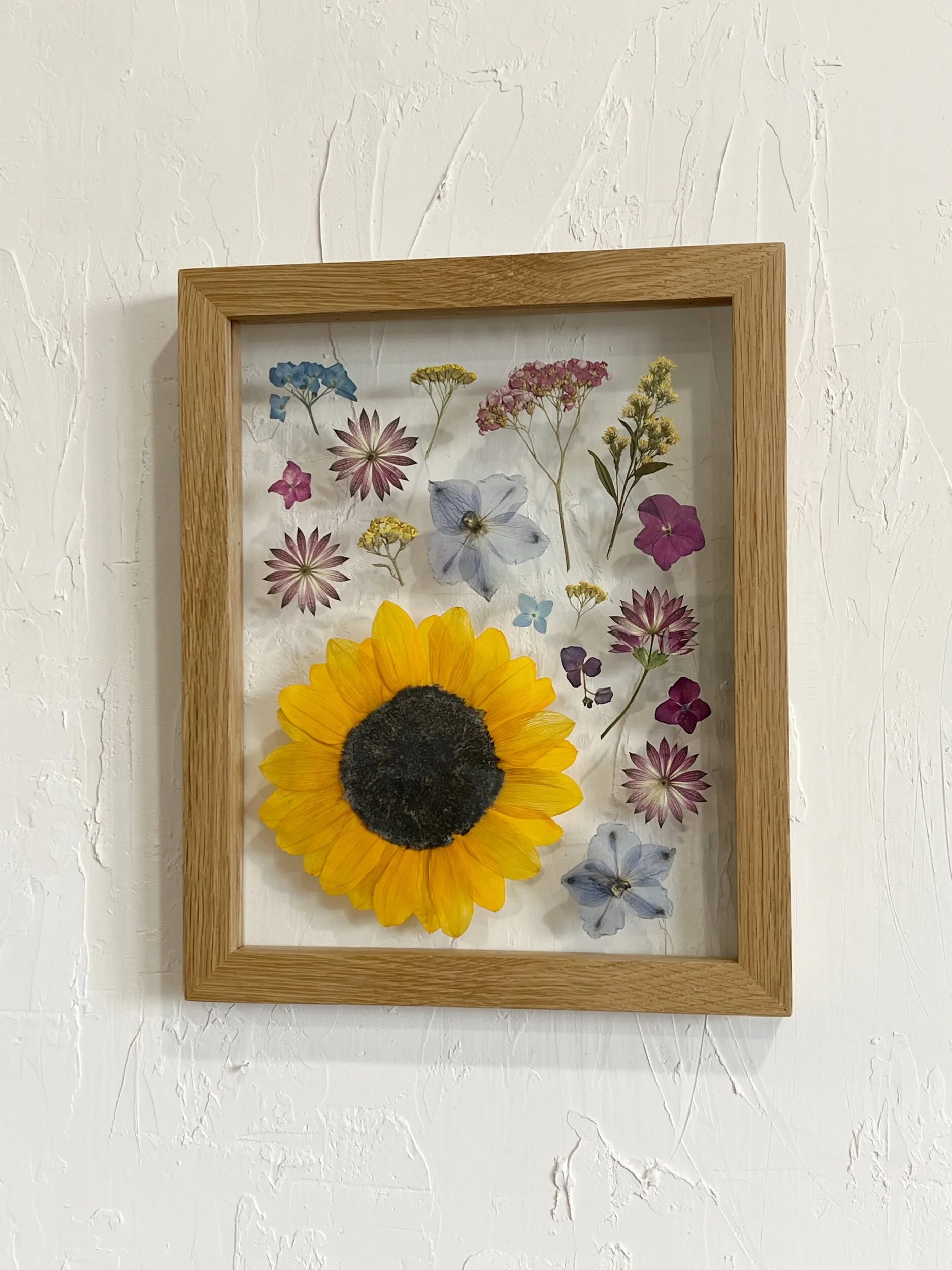 AA724531-2B36-4158-9EB8-FD2849811ABC