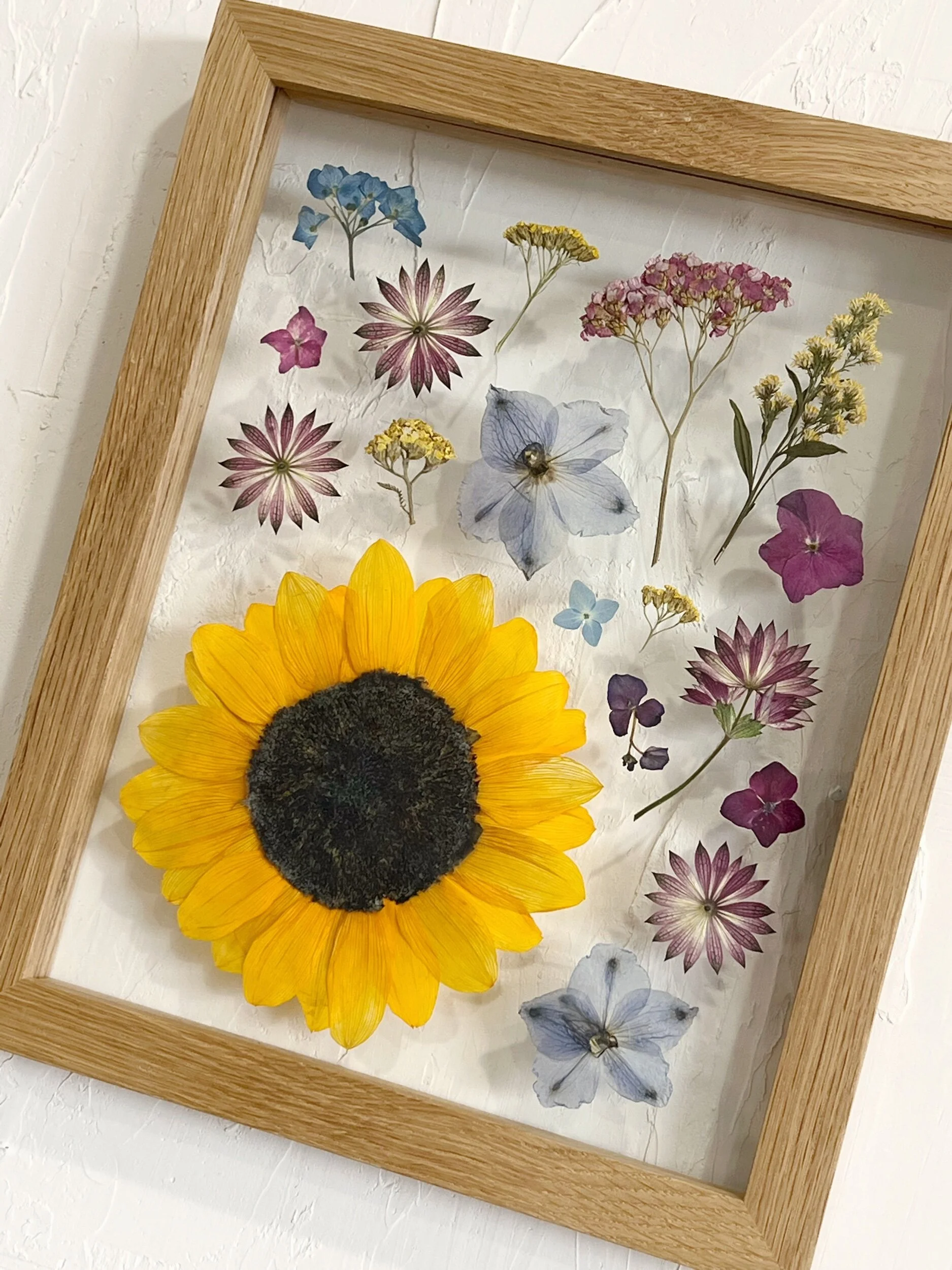 7D8BAA75-A05C-4655-AD53-21529CC3D699