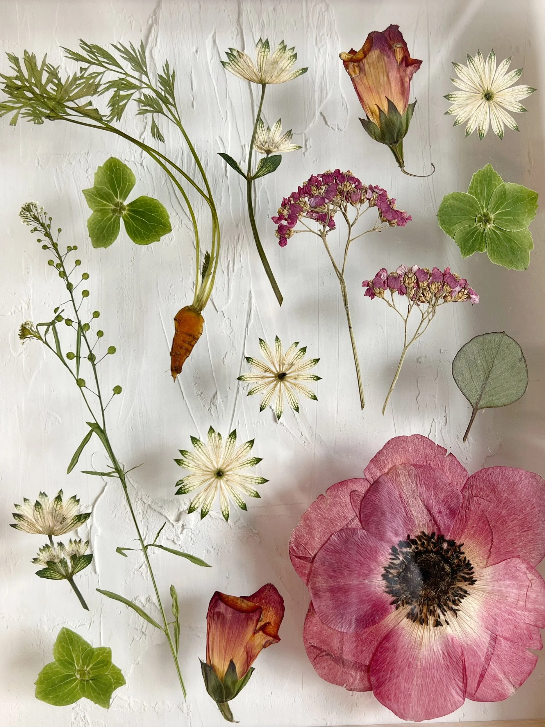 B4631BA8-E206-45DA-8A2F-DDBED2F5E5EE