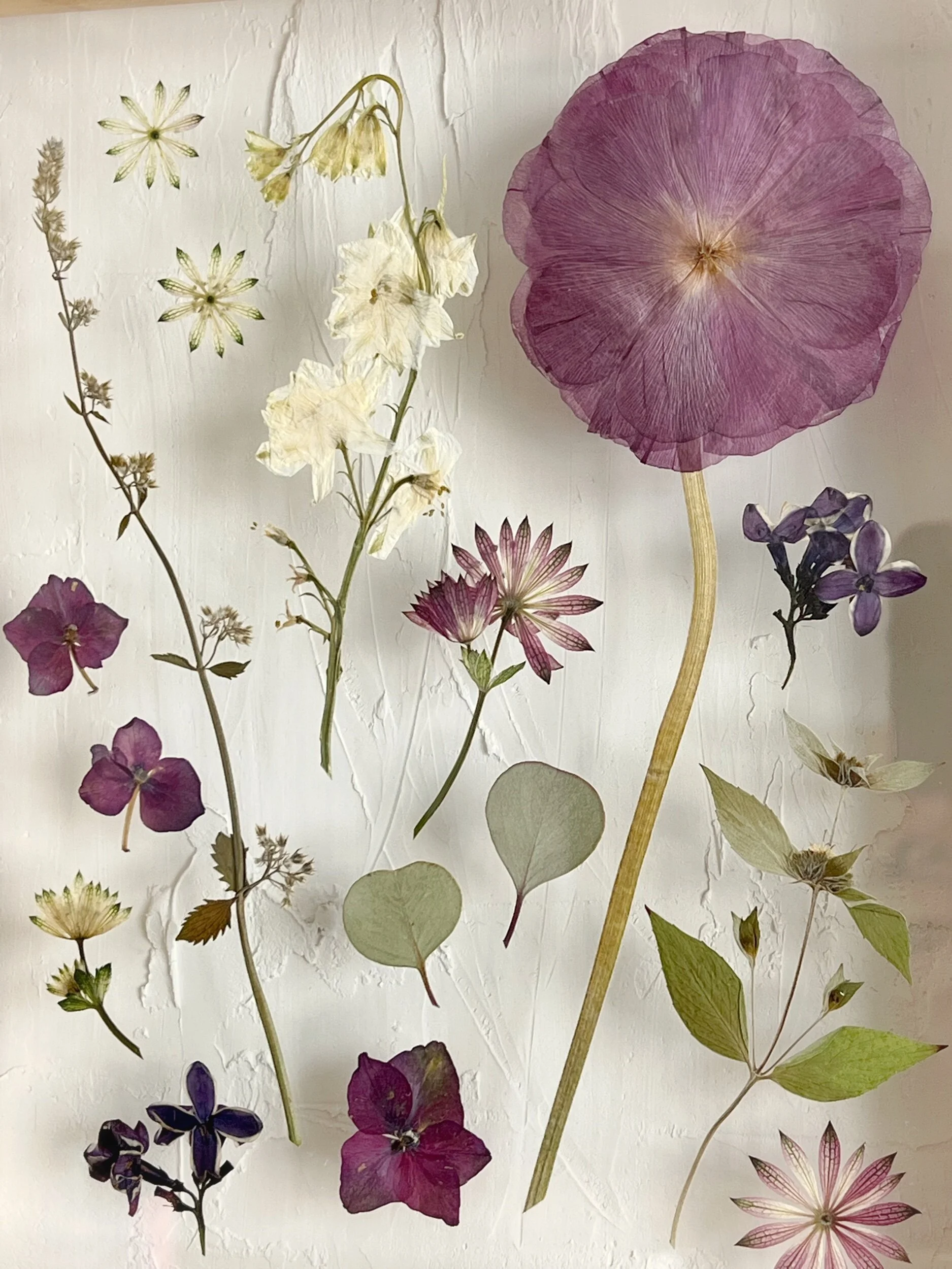 C412B8AD-BA40-4DF5-A228-CCDAA6764D6E