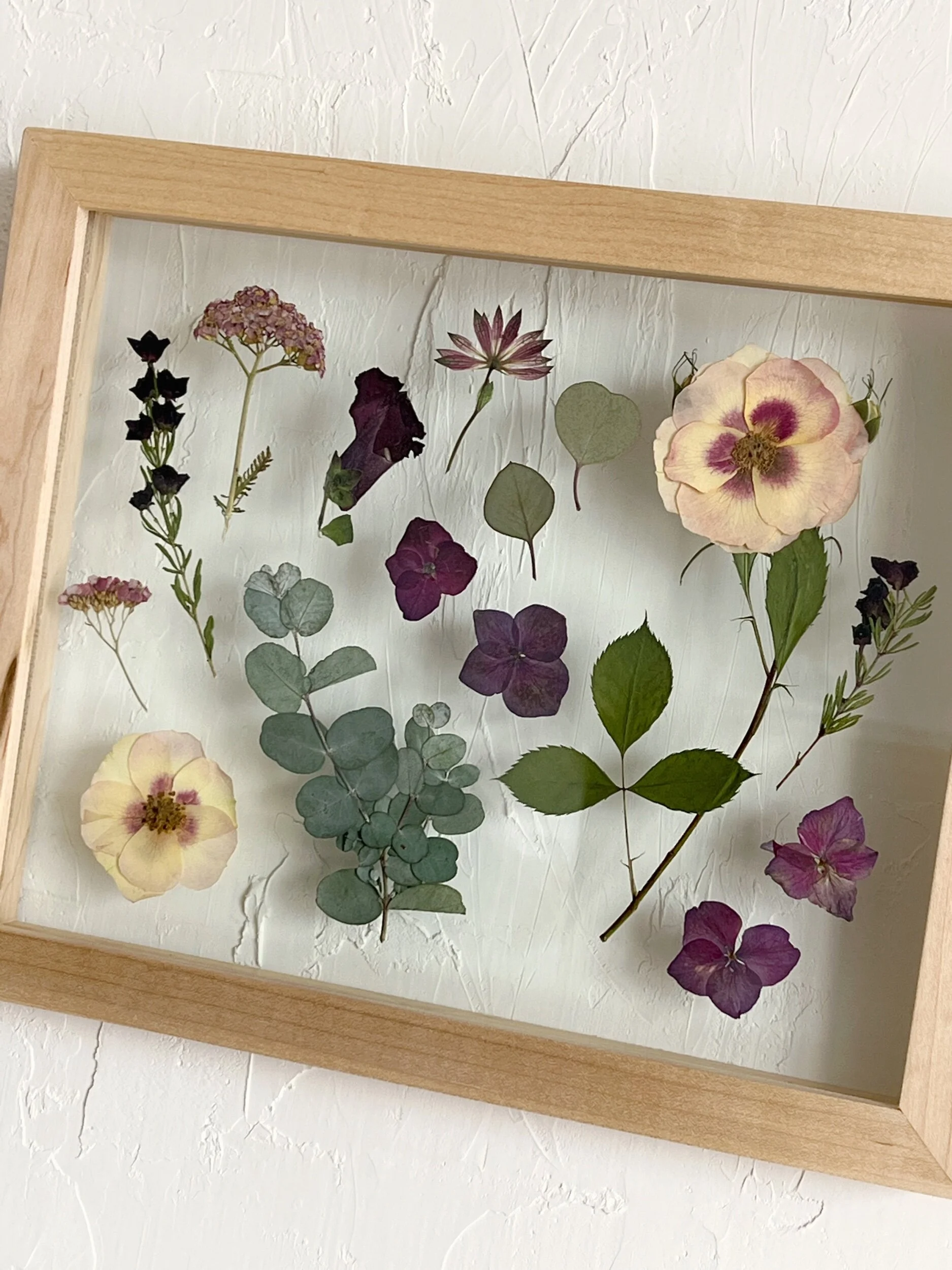 70F97DEF-5F55-41F8-88A3-6F14B4E51189