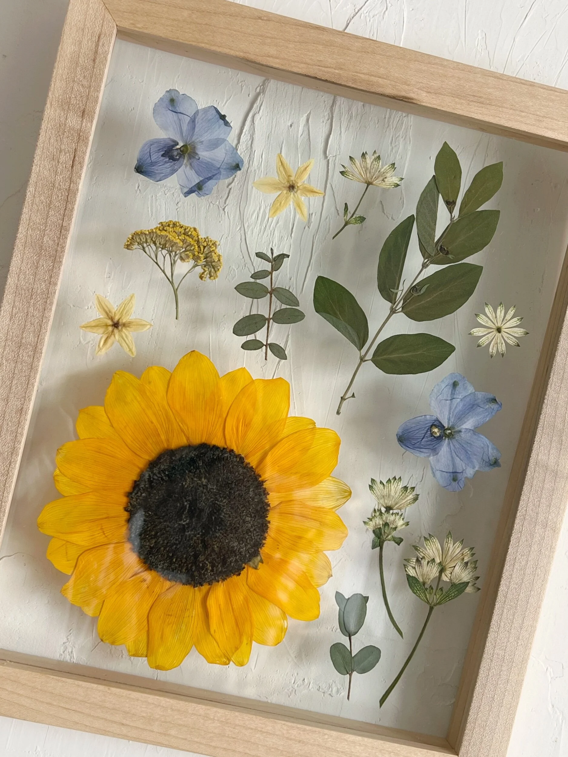 F3A9A7EE-2CD1-4885-A6F1-036E223B9A43