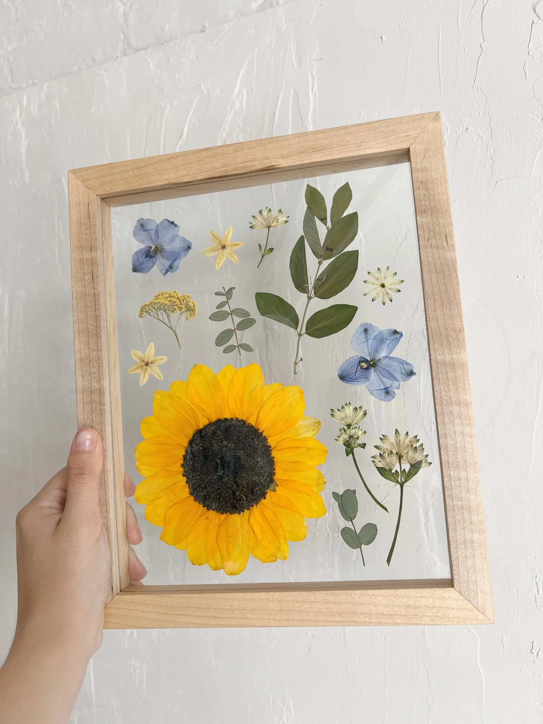 9A8883F1-537C-442E-BD6B-5228CB847A84