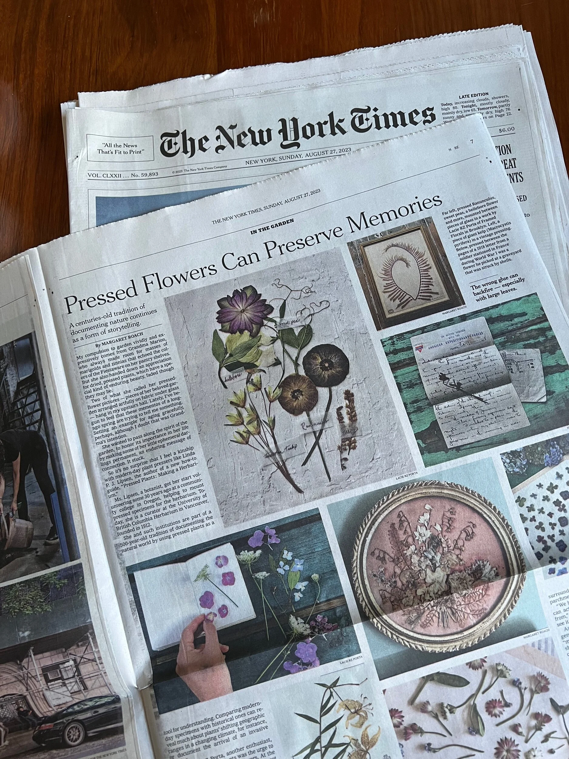 81F9F279-1EFE-467F-8499-F1A8840F938C