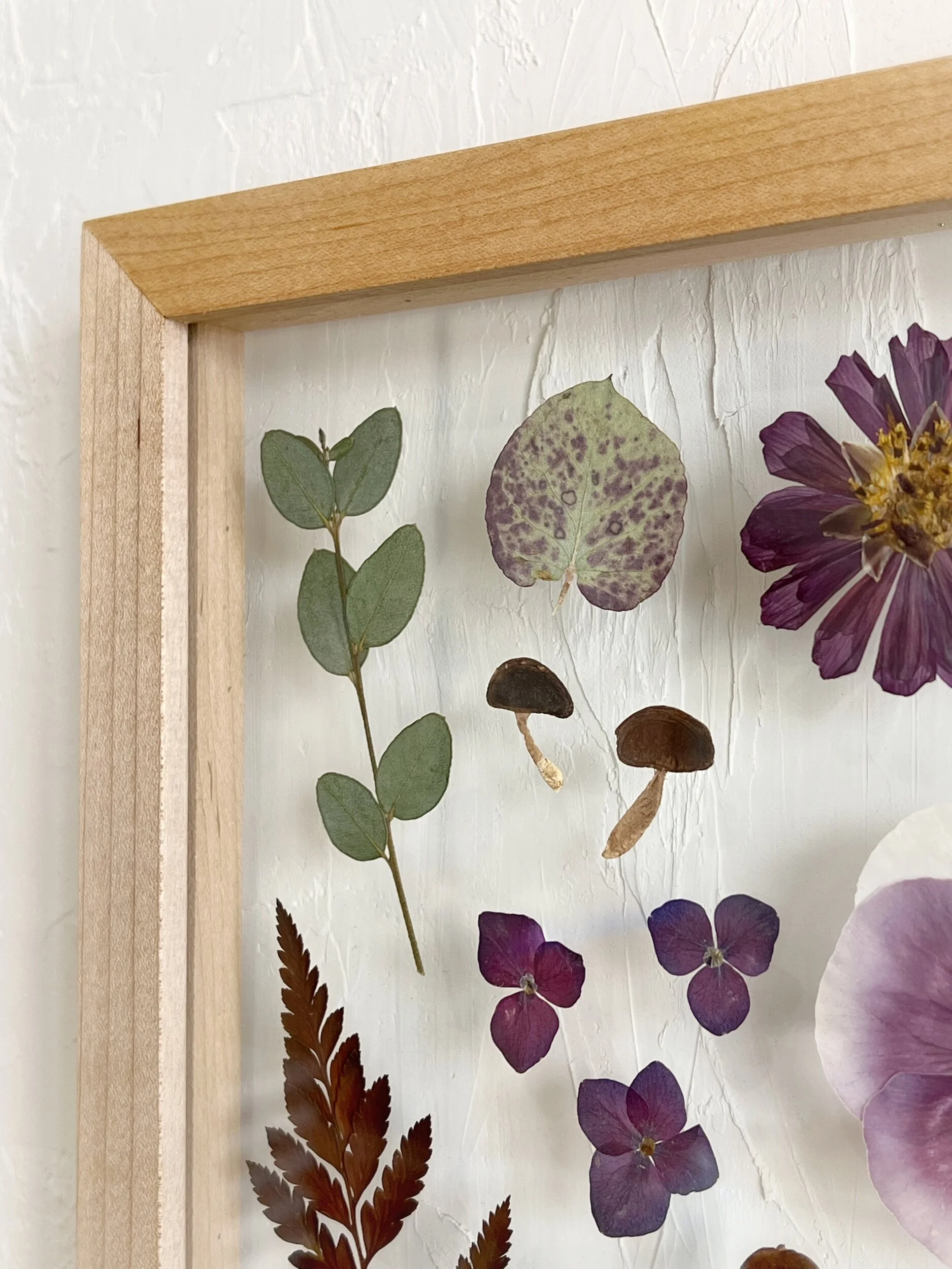 7BD9AA73-9F97-4D6B-9E71-ECC62CB75569